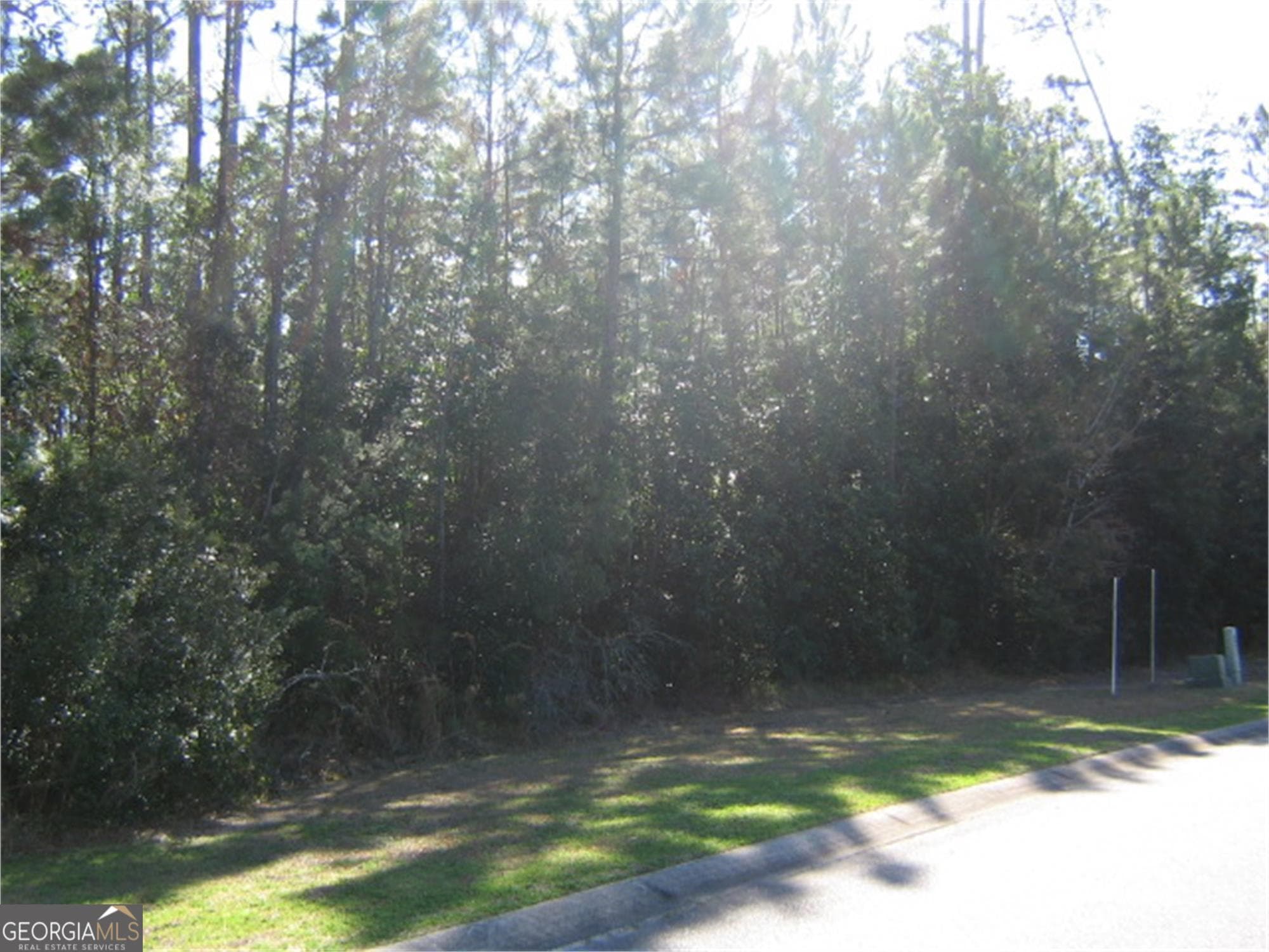 residential lot for sale at LOT 18 Jefferson Landing, Kingsland, GA 31548 — photo 2