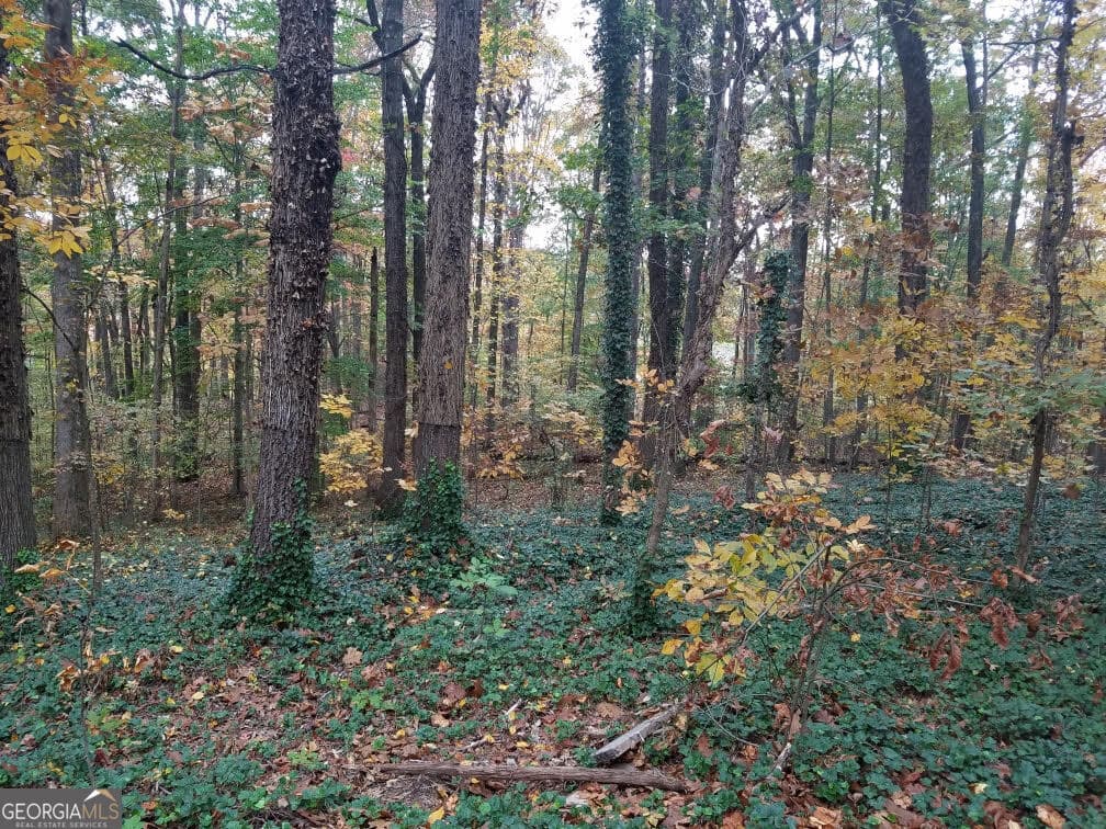 residential lot for sale at 4633 Post Oak Tritt Road 24, Marietta, GA 30062 — photo 6