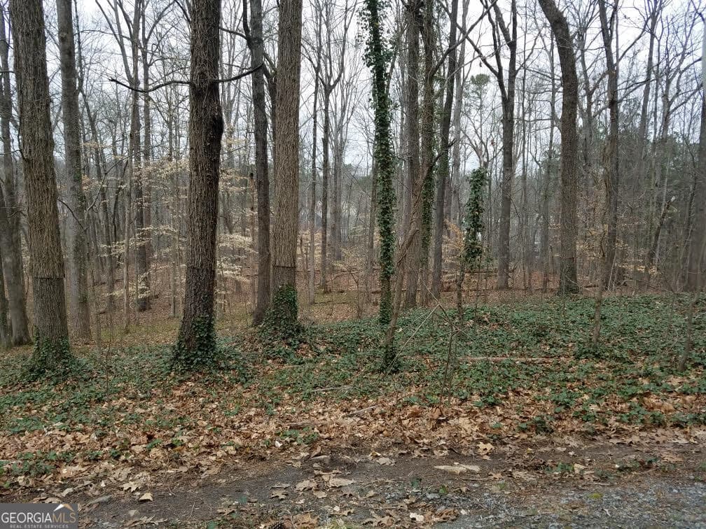 residential lot for sale at 4633 Post Oak Tritt Road 24, Marietta, GA 30062 — photo 7