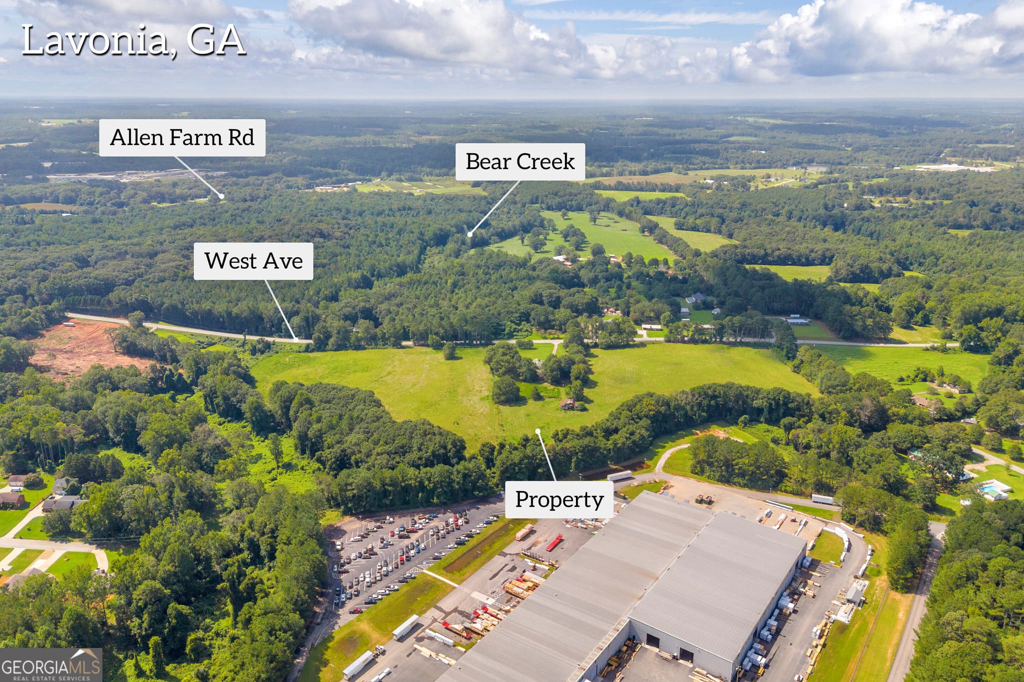 commercial for sale at 0 West Avenue, Lavonia, GA 30553 — photo 6