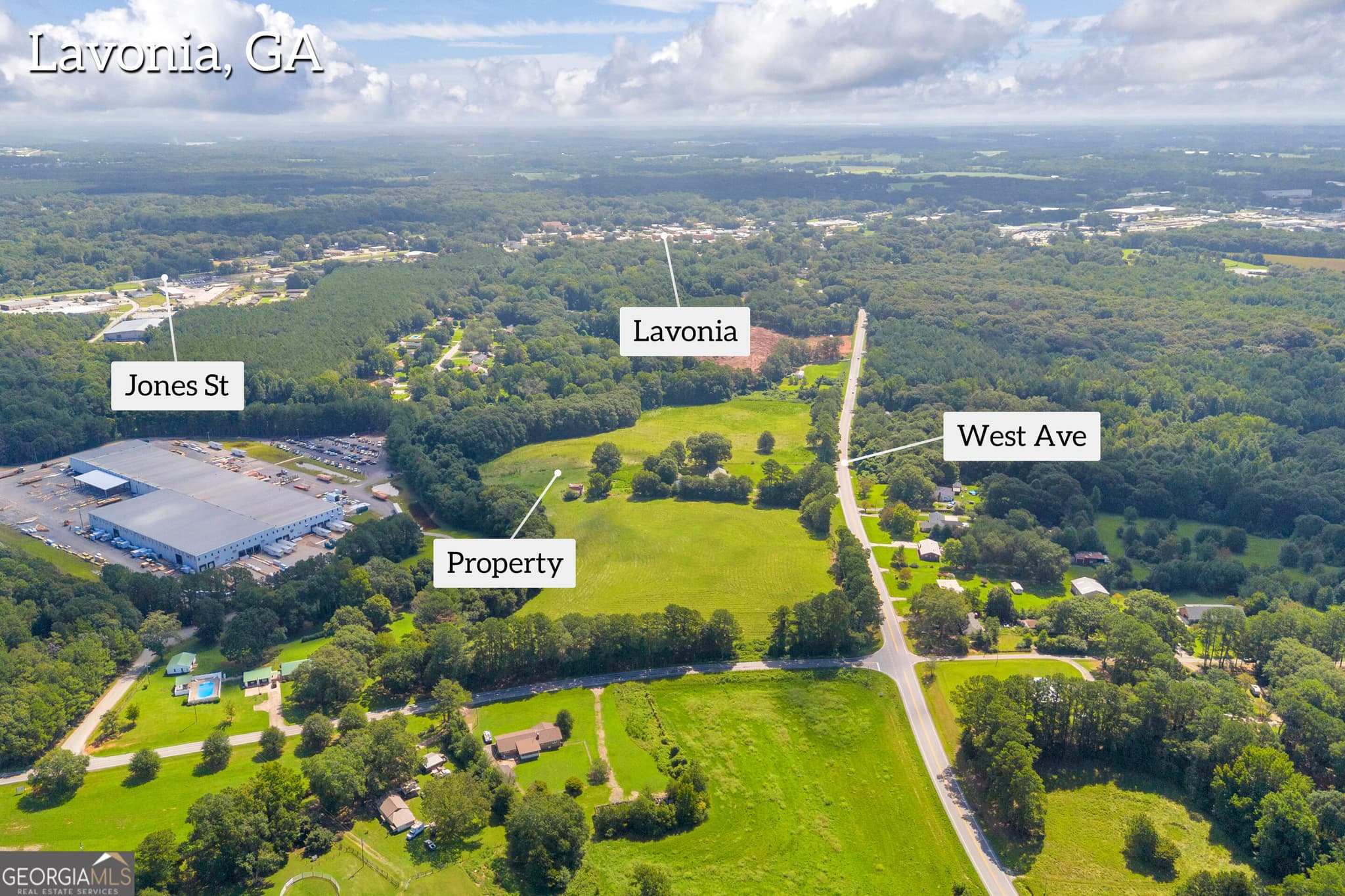 commercial for sale at 0 West Avenue, Lavonia, GA 30553 — photo 7