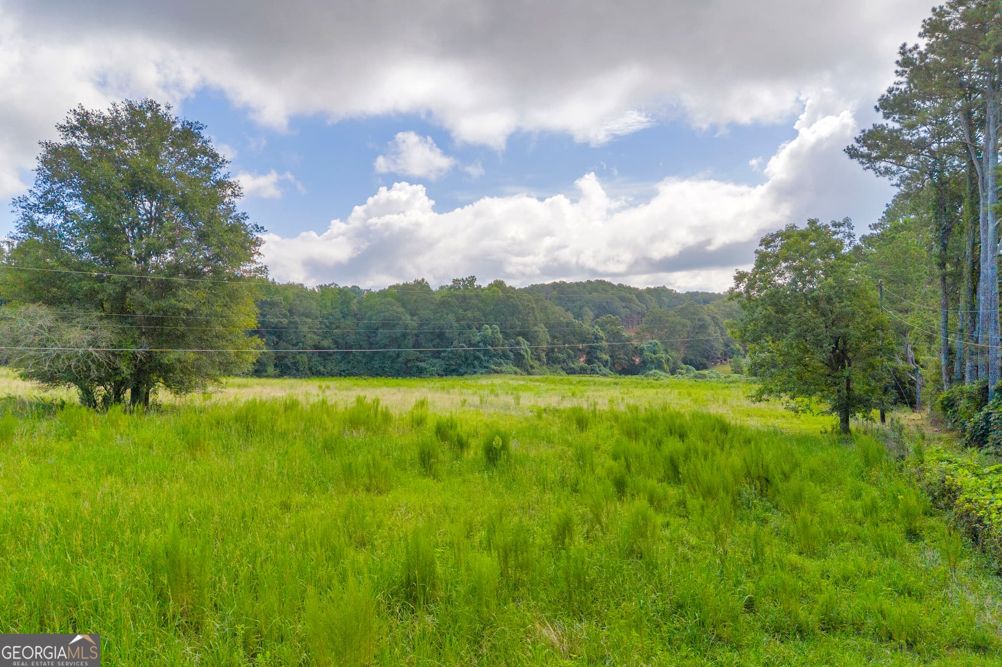 commercial for sale at 0 West Avenue, Lavonia, GA 30553 — photo 3