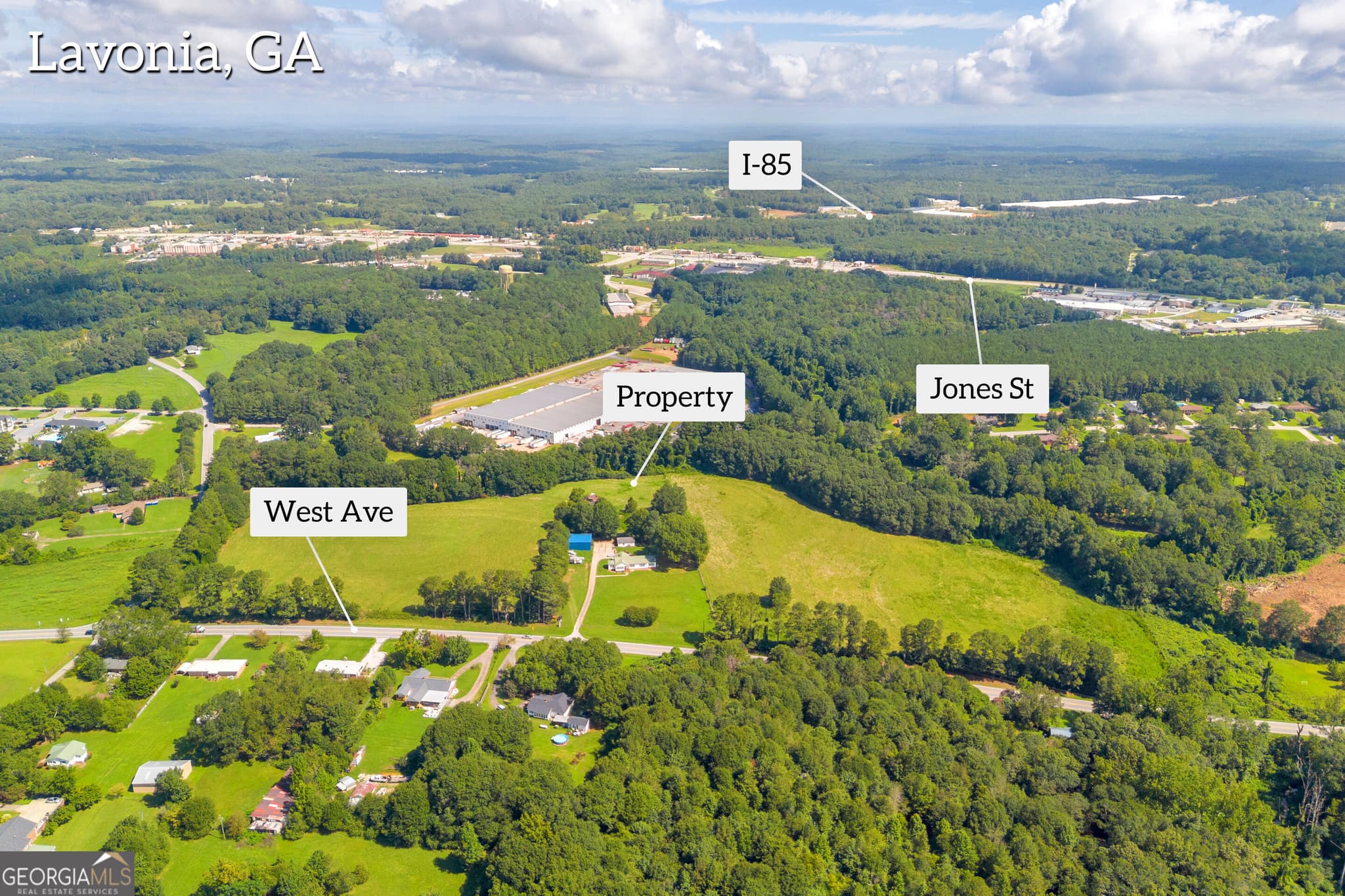 commercial for sale at 0 West Avenue, Lavonia, GA 30553 — photo 5