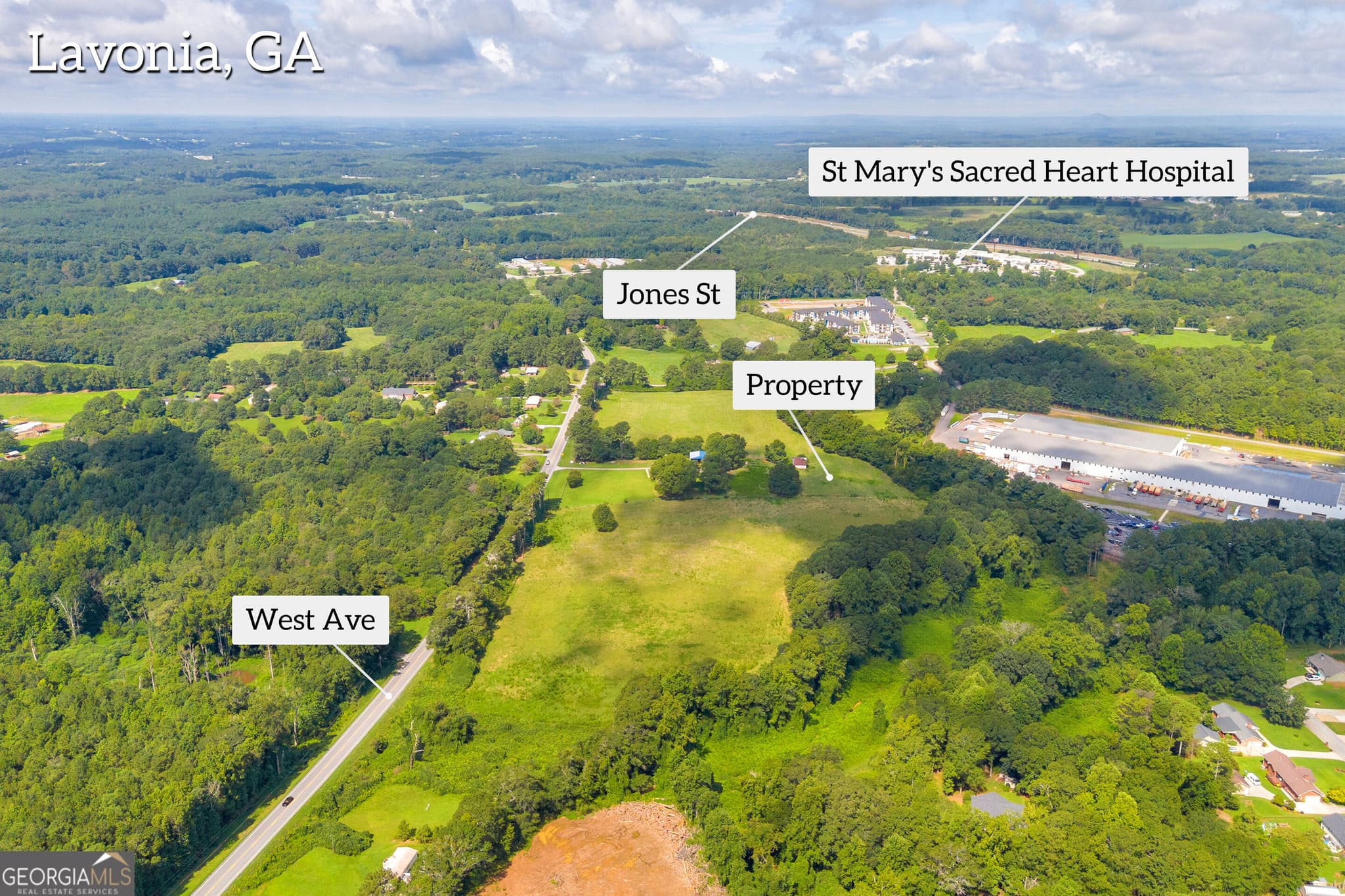 commercial for sale at 0 West Avenue, Lavonia, GA 30553 — photo 9
