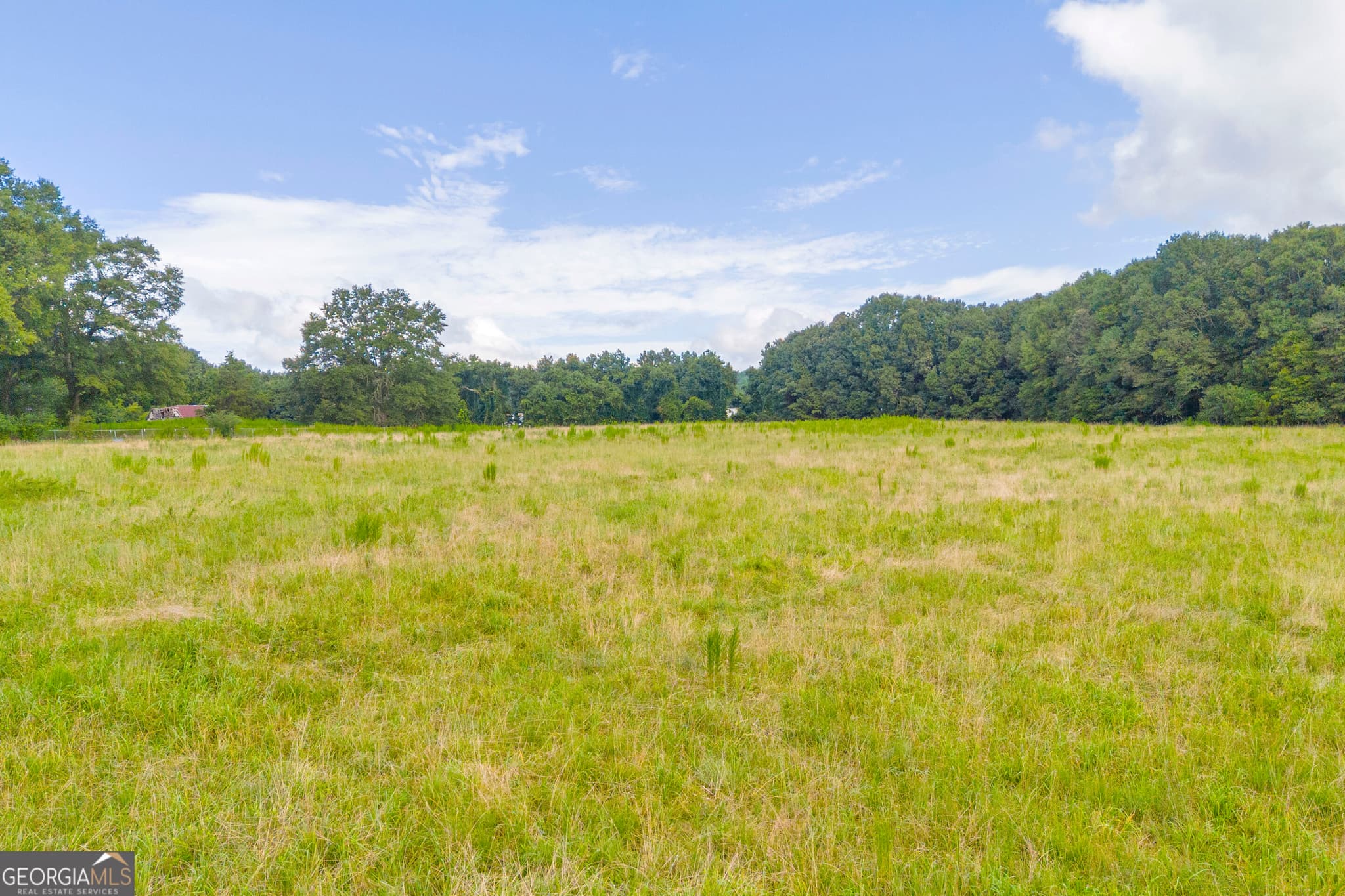 commercial for sale at 0 West Avenue, Lavonia, GA 30553 — photo 4