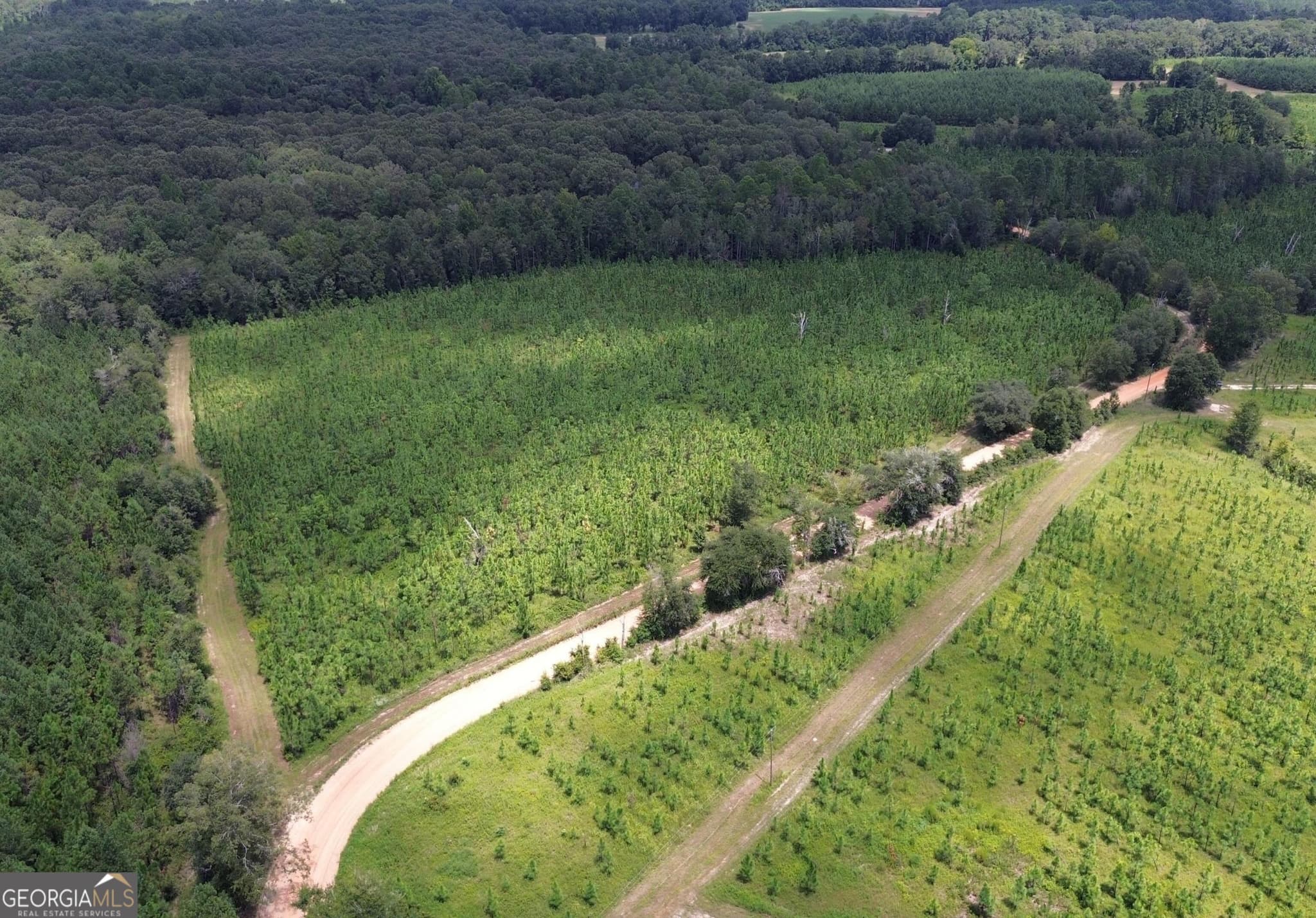 agriculture sold at 001 Beulah Road, Sylvania, GA 30467