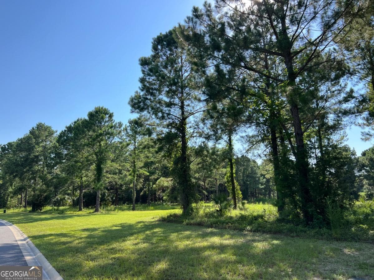 residential lot for sale at V/L 527 Beacon Pointe Parkway, Waverly, GA 31565 — photo 6