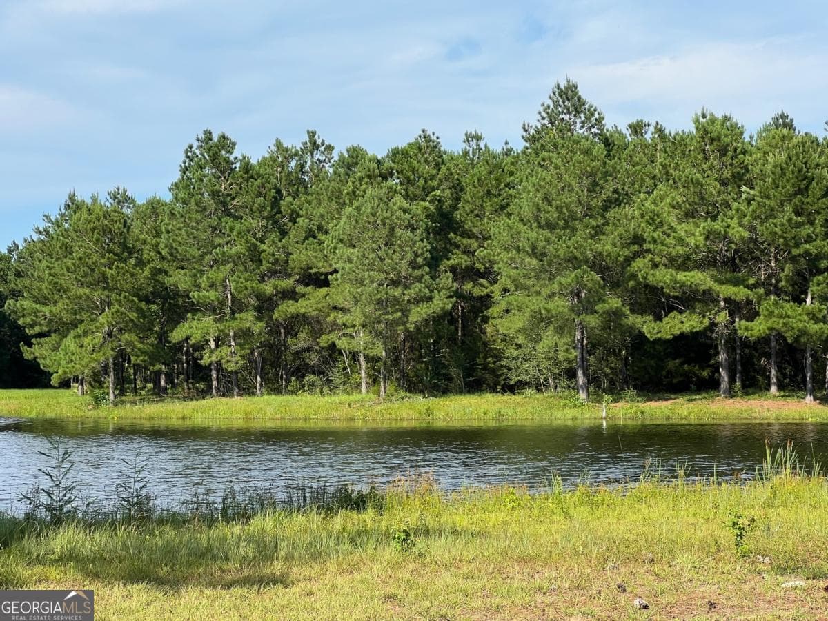 residential lot for sale at V/L 527 Beacon Pointe Parkway, Waverly, GA 31565 — photo 3