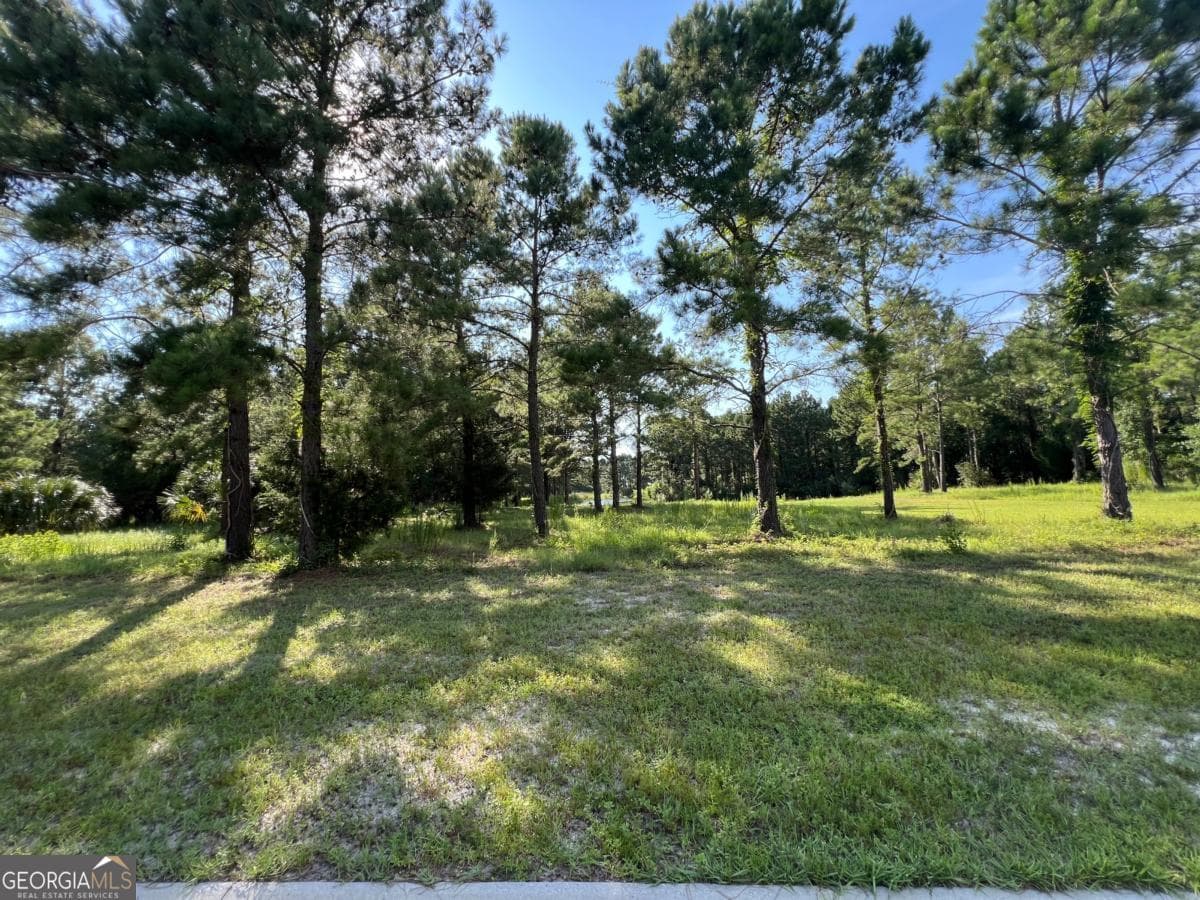 residential lot for sale at V/L 527 Beacon Pointe Parkway, Waverly, GA 31565 — photo 9