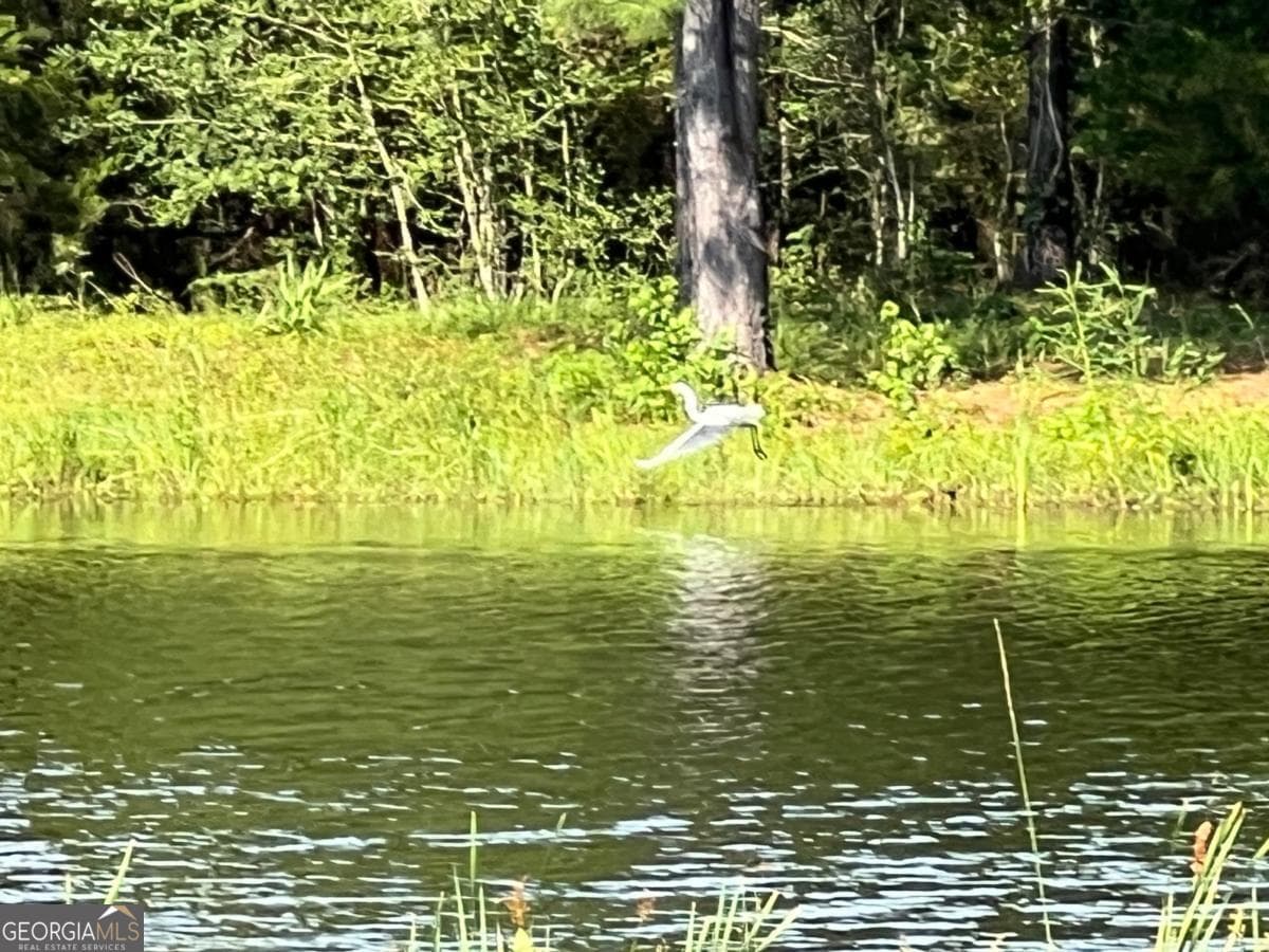 residential lot for sale at V/L 527 Beacon Pointe Parkway, Waverly, GA 31565 — photo 4