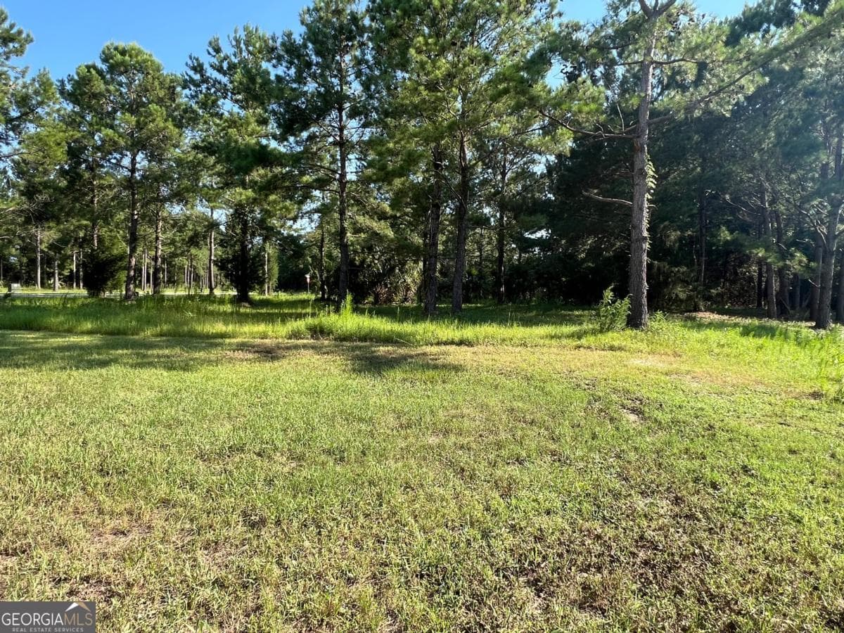 residential lot for sale at V/L 527 Beacon Pointe Parkway, Waverly, GA 31565 — photo 8