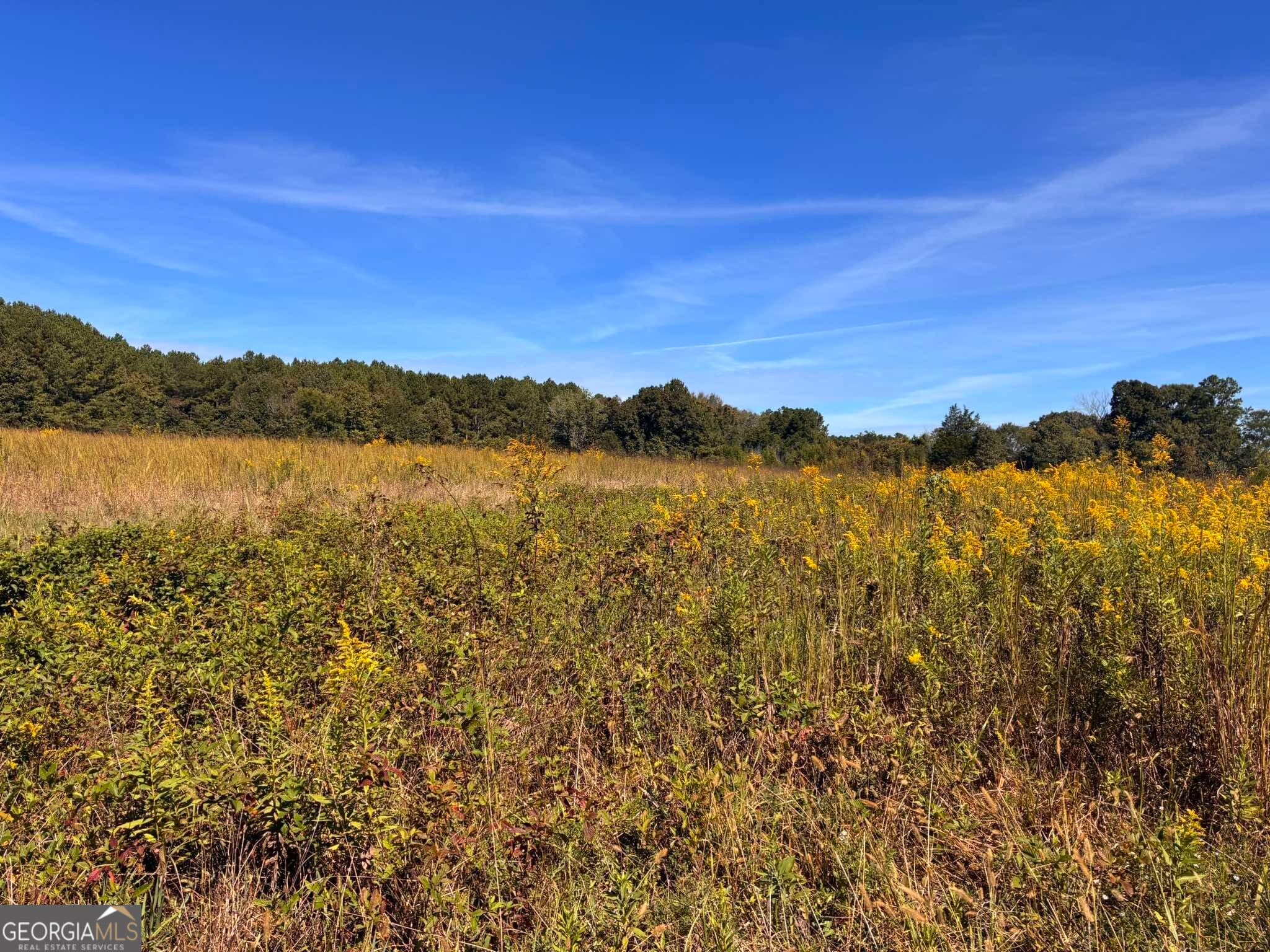 agriculture for sale at 36.55 ACRES Back Valley Road, Lyerly, GA 30730 — photo 2