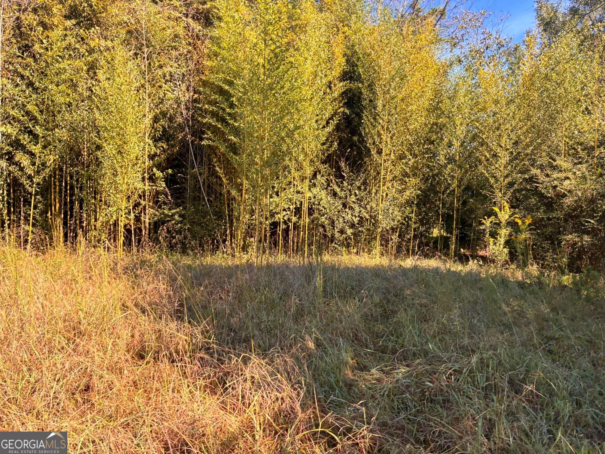 agriculture for sale at 36.55 ACRES Back Valley Road, Lyerly, GA 30730 — photo 6