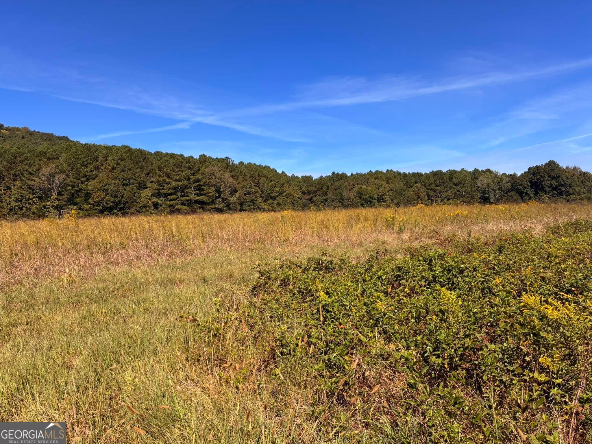 agriculture for sale at 36.55 ACRES Back Valley Road, Lyerly, GA 30730 — photo 7