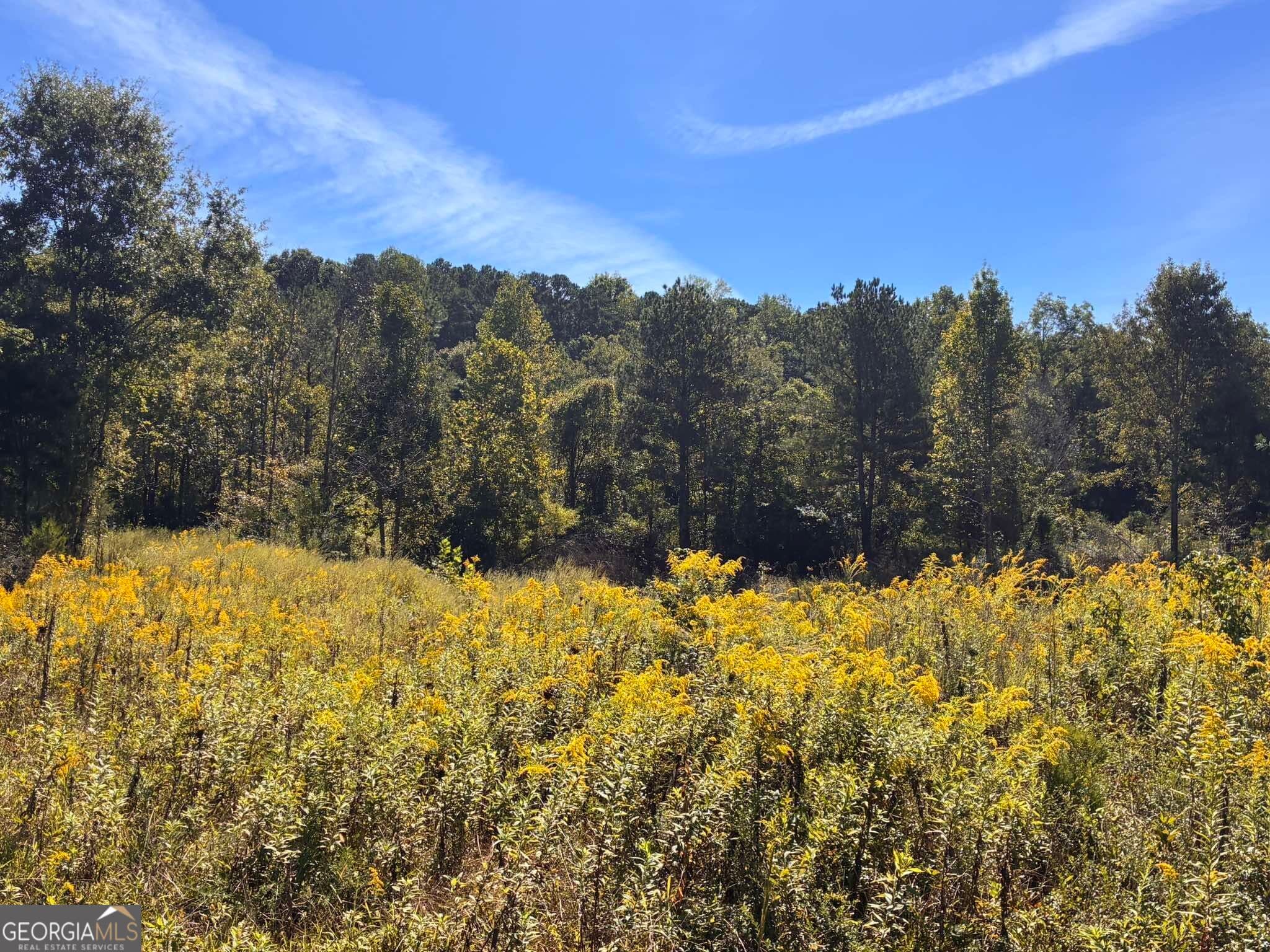 agriculture for sale at 36.55 ACRES Back Valley Road, Lyerly, GA 30730 — photo 3