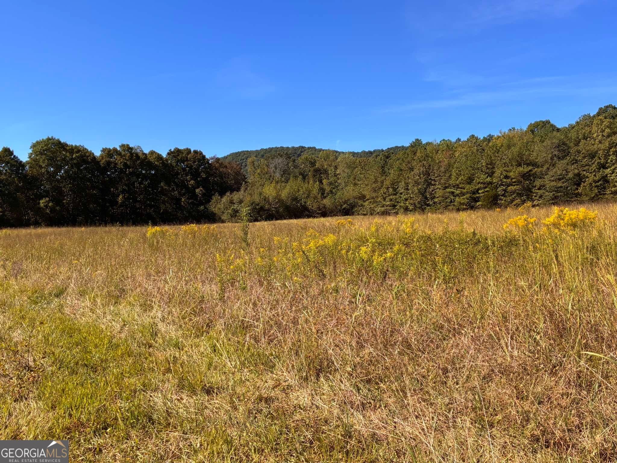 agriculture for sale at 36.55 ACRES Back Valley Road, Lyerly, GA 30730