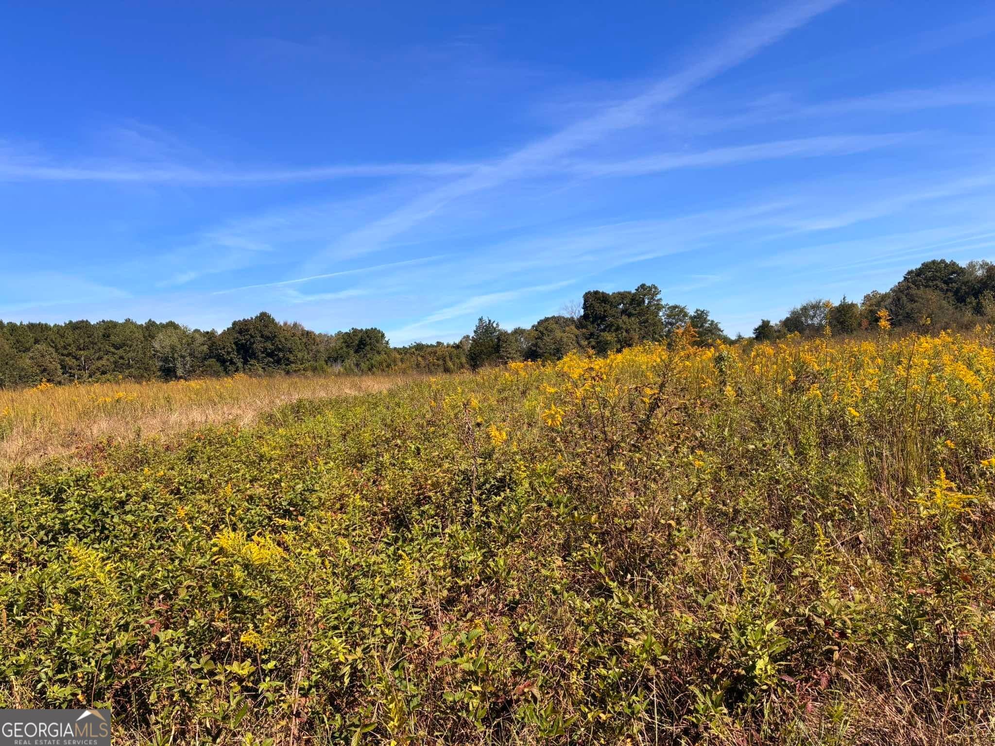 agriculture for sale at 36.55 ACRES Back Valley Road, Lyerly, GA 30730 — photo 5