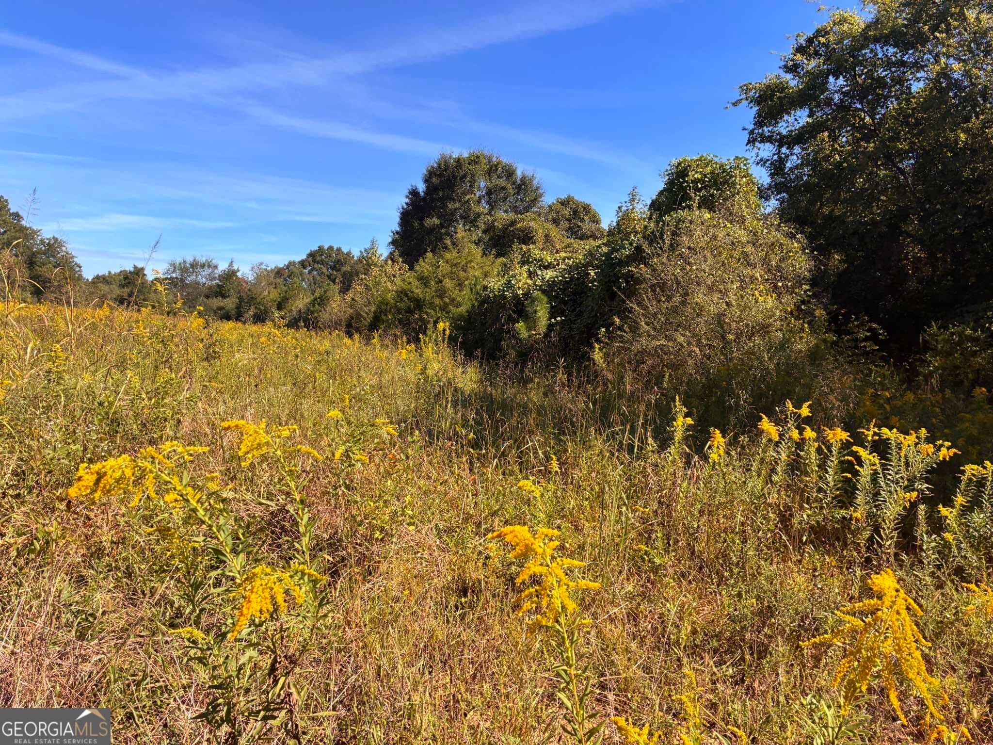agriculture for sale at 36.55 ACRES Back Valley Road, Lyerly, GA 30730 — photo 4