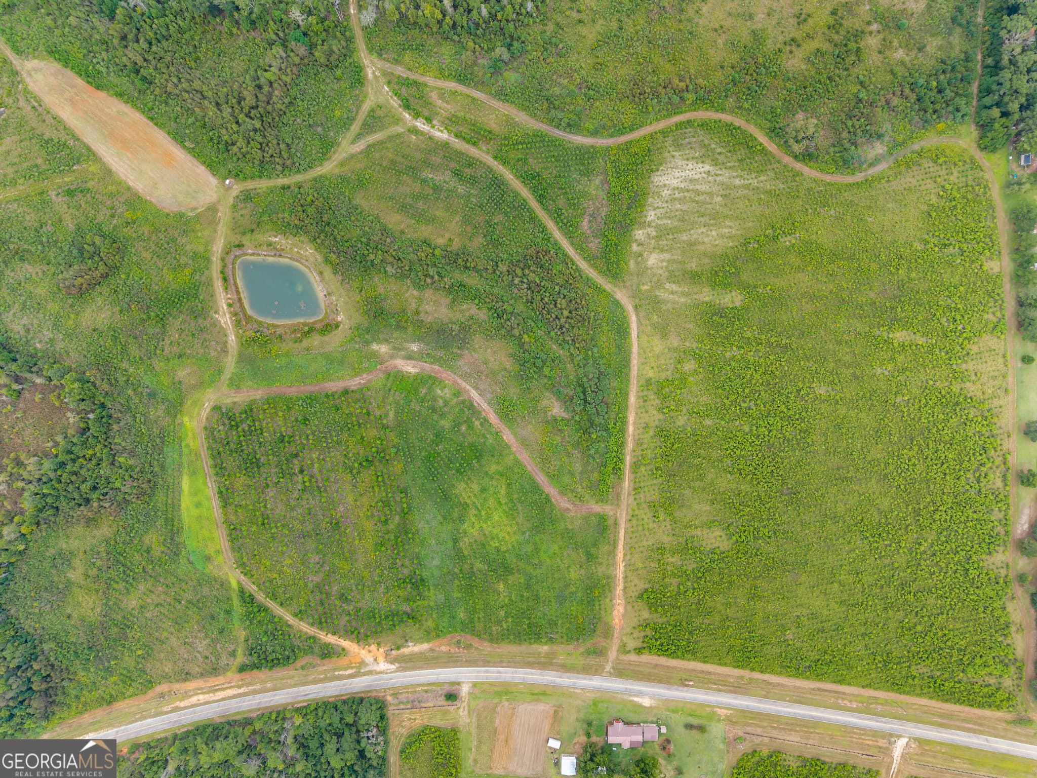 estate lot for sale at 0 G W Oliver Road LOT 7, Statesboro, GA 30458 — photo 3
