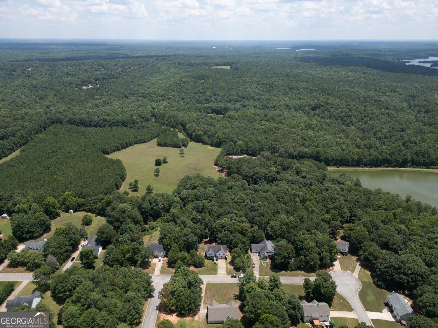 5 bedroom, 3 bathroom, 2,406 sq ft single family residence for sale at 314 Black Willow Court, Locust Grove, GA 30248 — photo 5