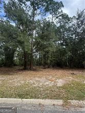 residential lot for sale at 86 Marsh Creek Boulevard, Waverly, GA 31565 — photo 3