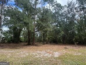 residential lot for sale at 86 Marsh Creek Boulevard, Waverly, GA 31565 — photo 1 of 24