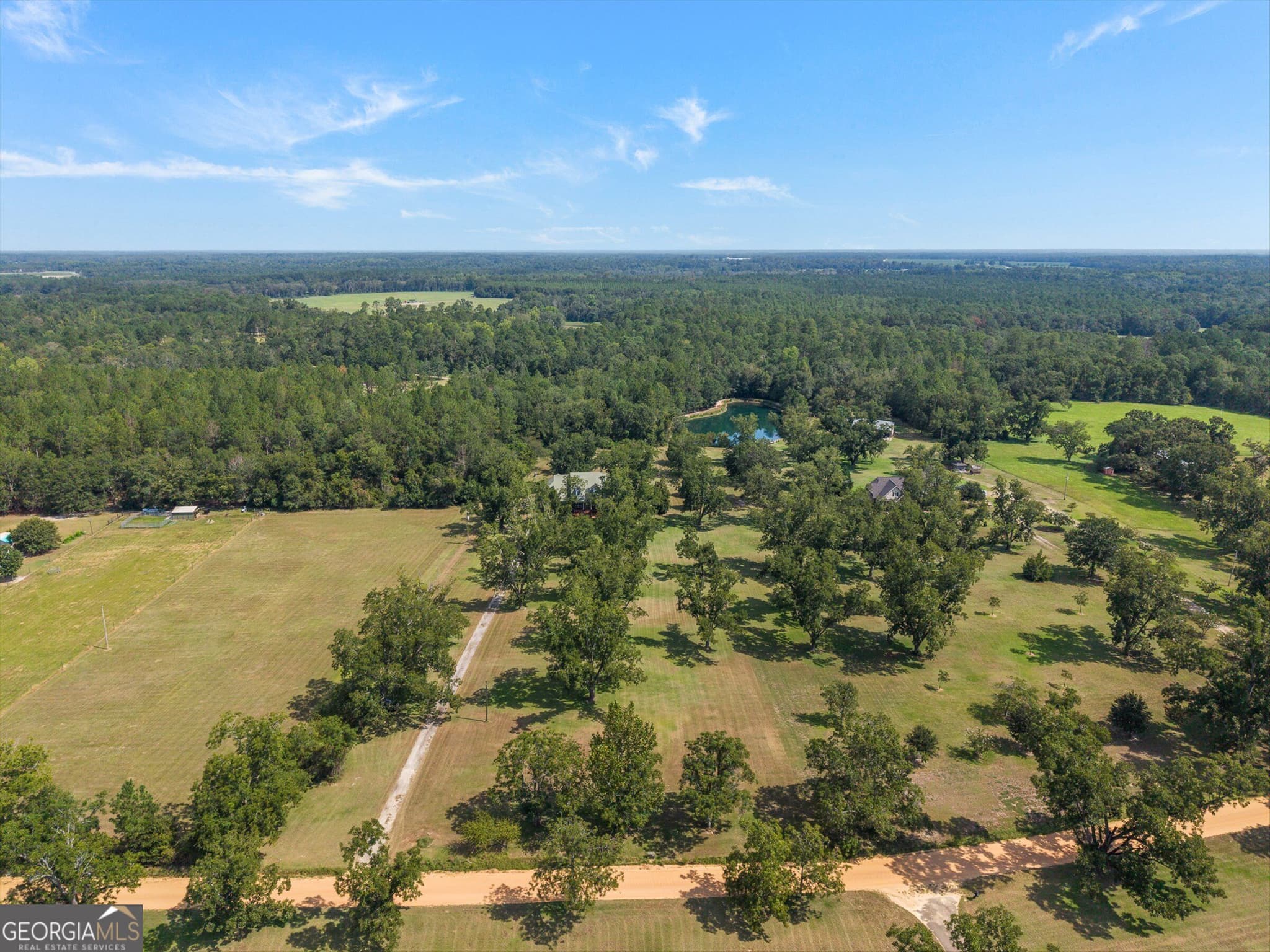 5 bedroom, 3.5 bathroom, 3,900 sq ft single family residence for sale at 321 Old Hardy Place Road, Statesboro, GA 30461 — photo 5