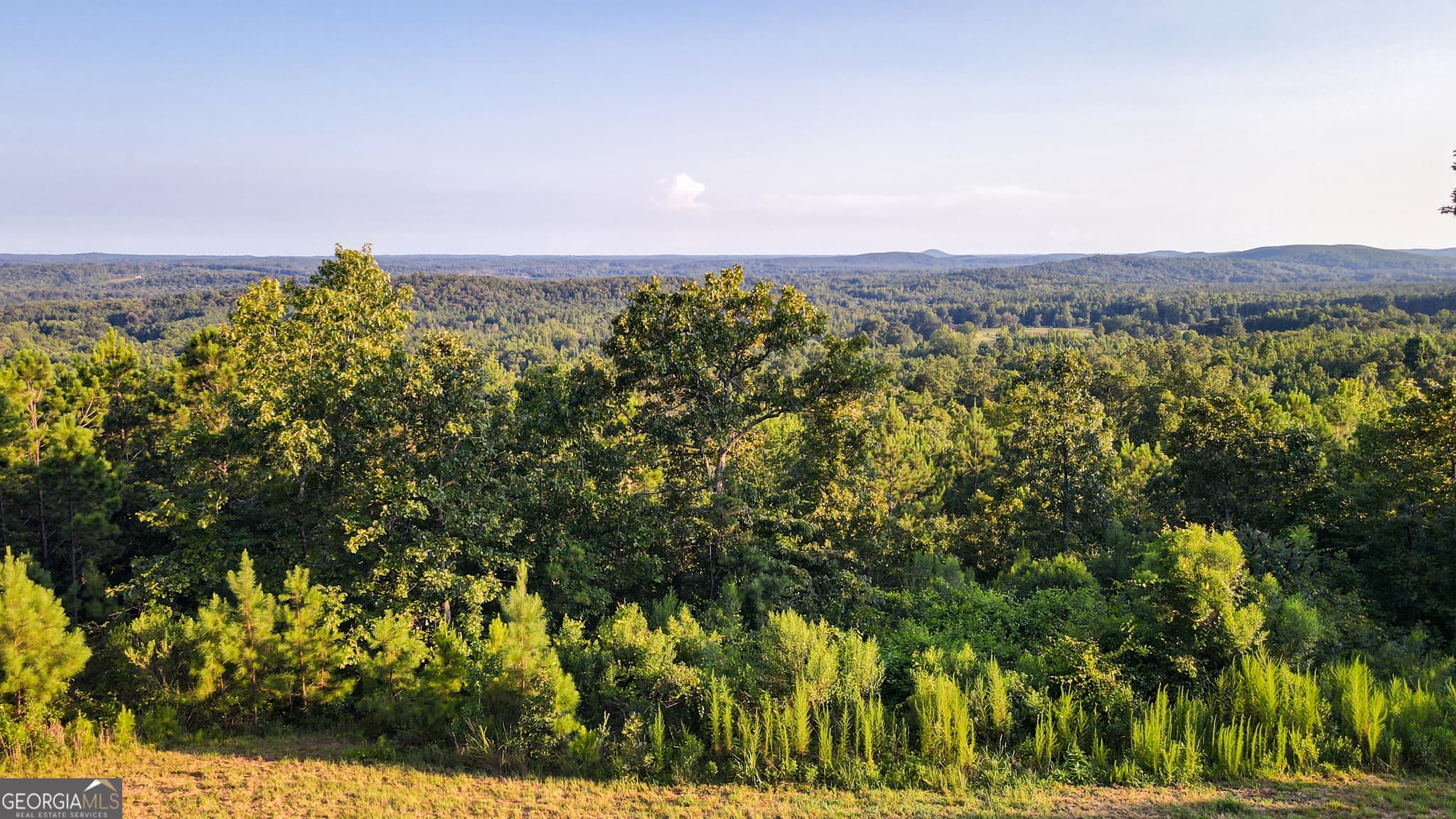 residential lot for sale at 200 Tablee Lane, Ashland, AL 36251 — photo 2