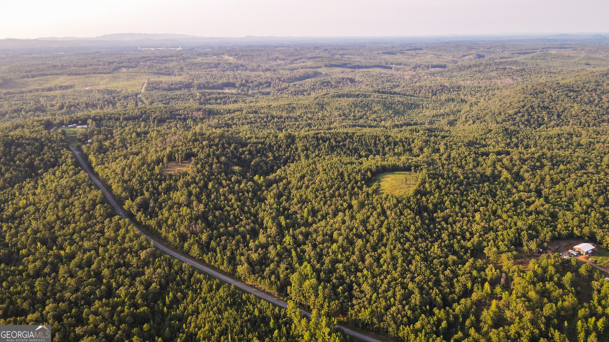 residential lot for sale at 200 Tablee Lane, Ashland, AL 36251 — photo 6