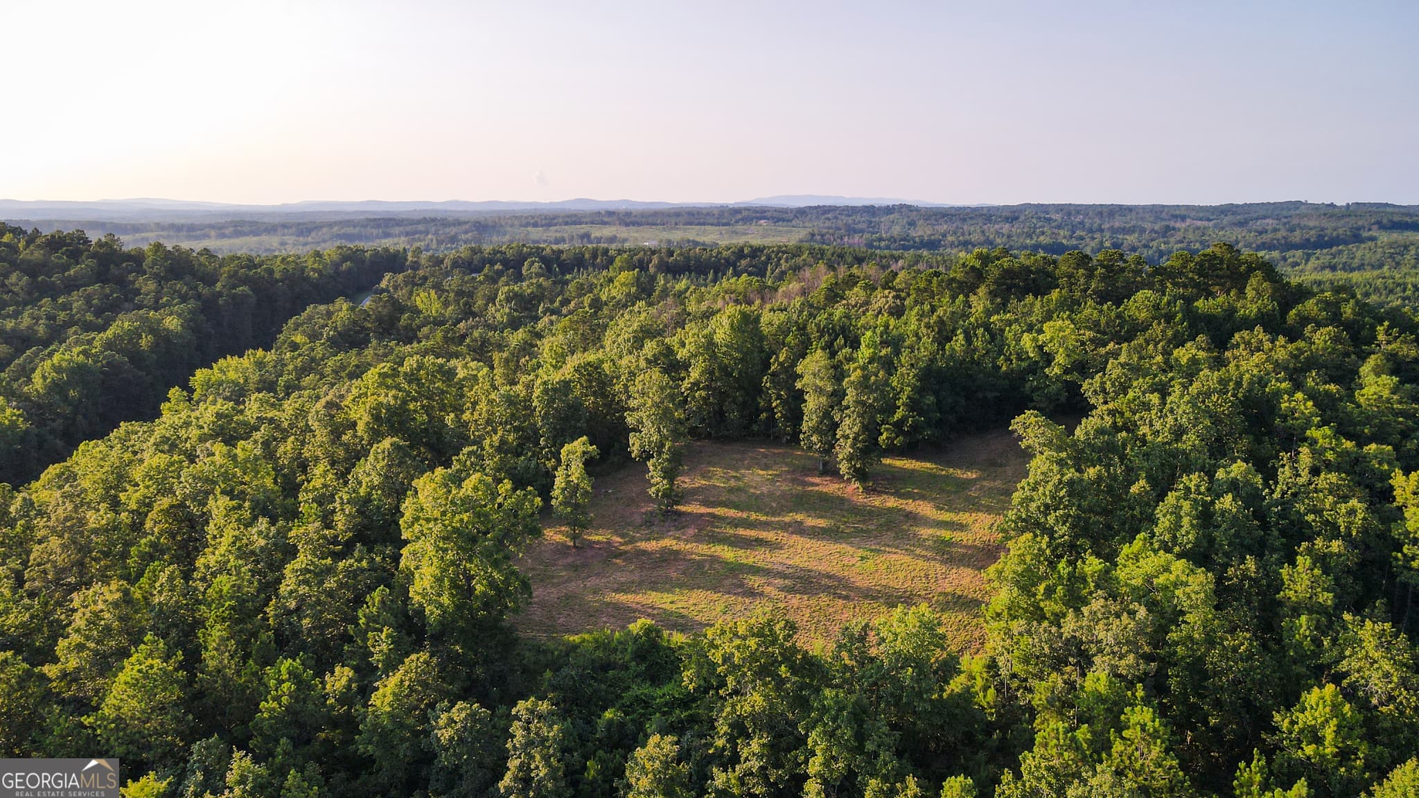residential lot for sale at 200 Tablee Lane, Ashland, AL 36251 — photo 3