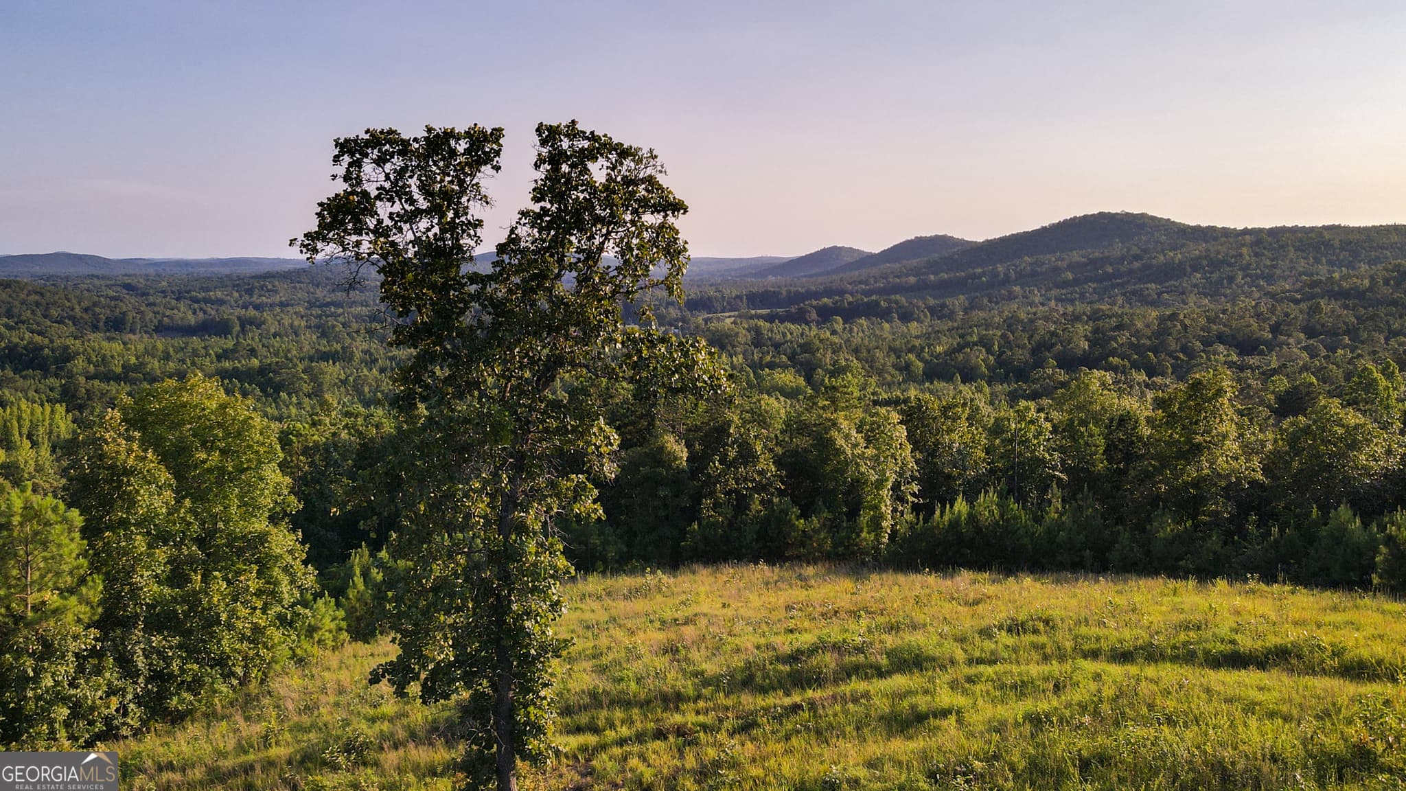 residential lot for sale at 200 Tablee Lane, Ashland, AL 36251 — photo 9