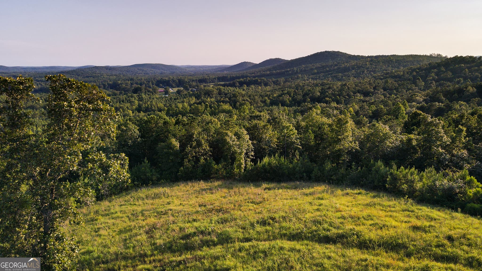 residential lot for sale at 200 Tablee Lane, Ashland, AL 36251 — photo 10