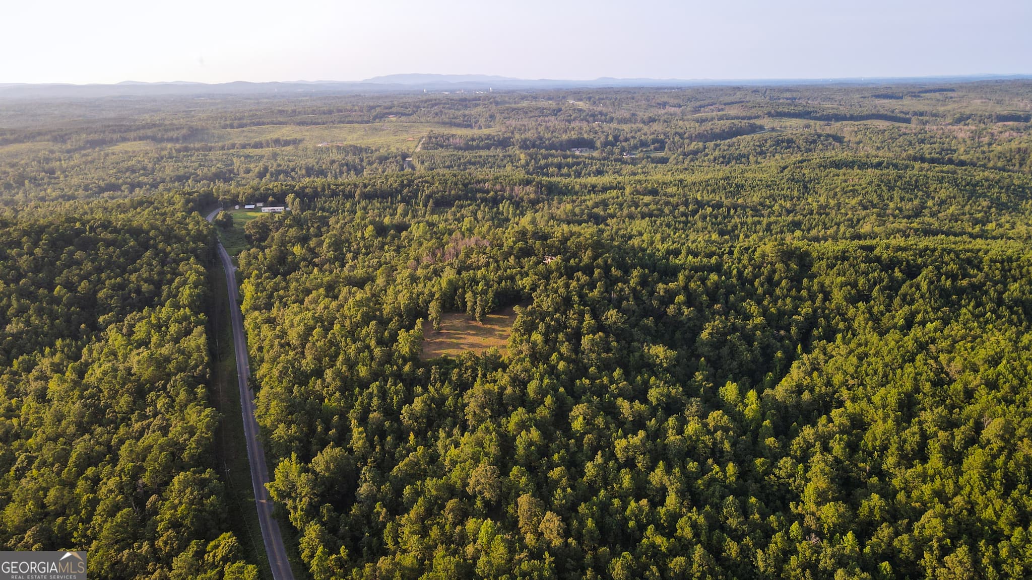 residential lot for sale at 200 Tablee Lane, Ashland, AL 36251 — photo 4