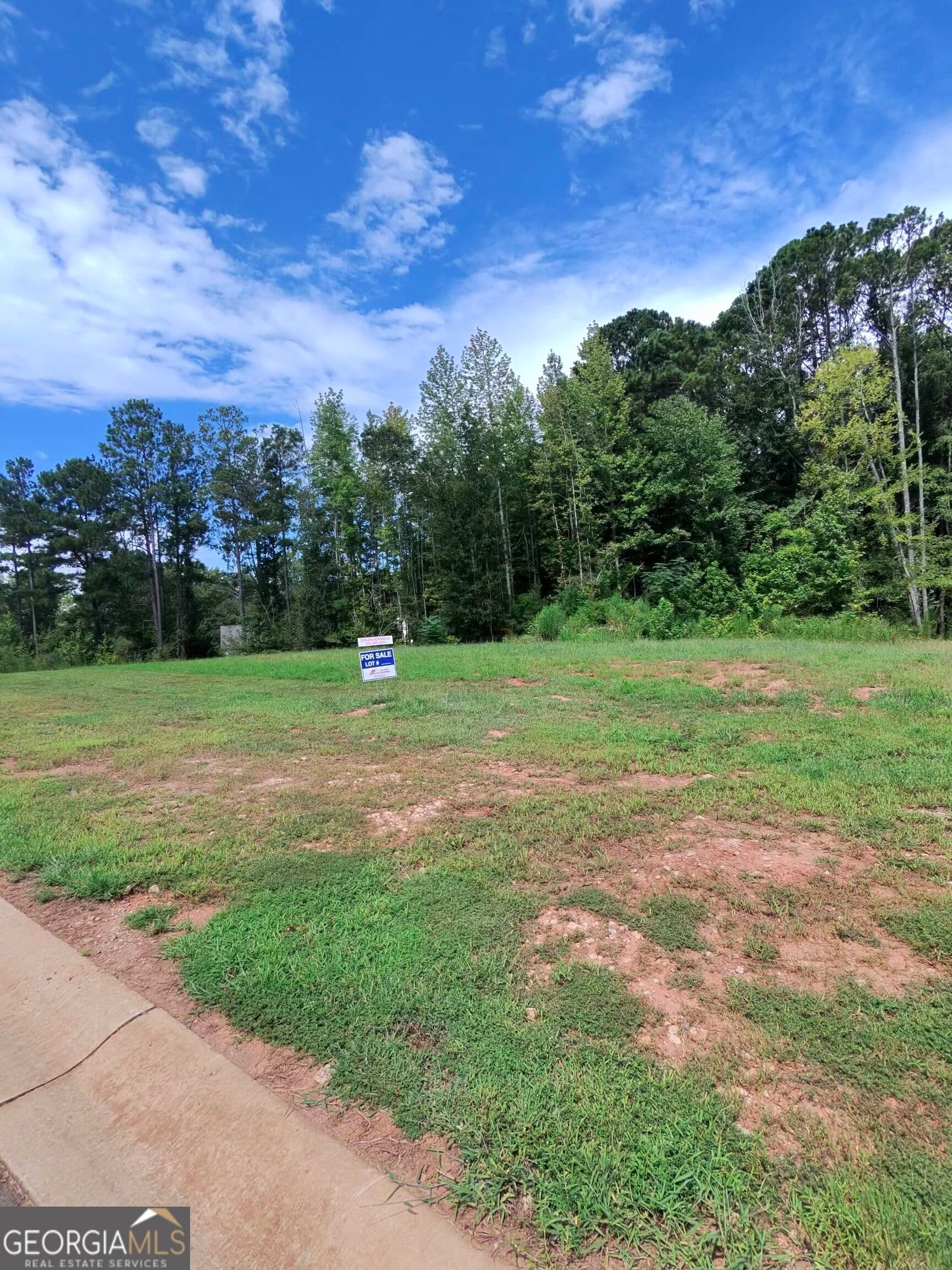 4 bedroom, 2.5 bathroom single family residence for sale at 0 Wisteria Lane, Williamson, GA 30292 — photo 5