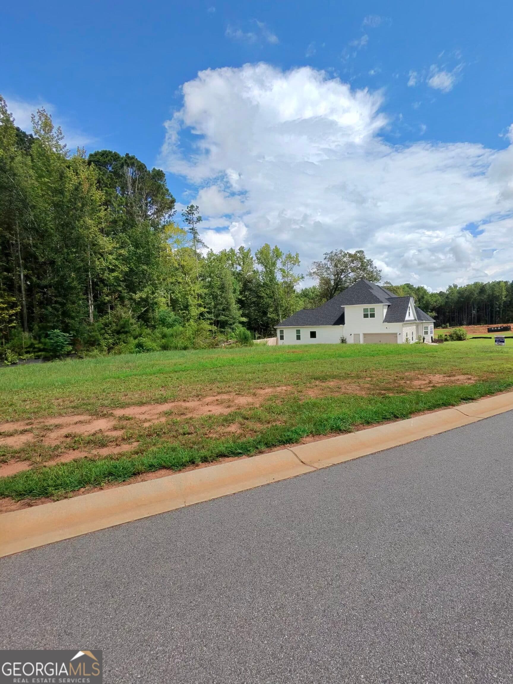 4 bedroom, 2.5 bathroom single family residence for sale at 0 Wisteria Lane, Williamson, GA 30292 — photo 4