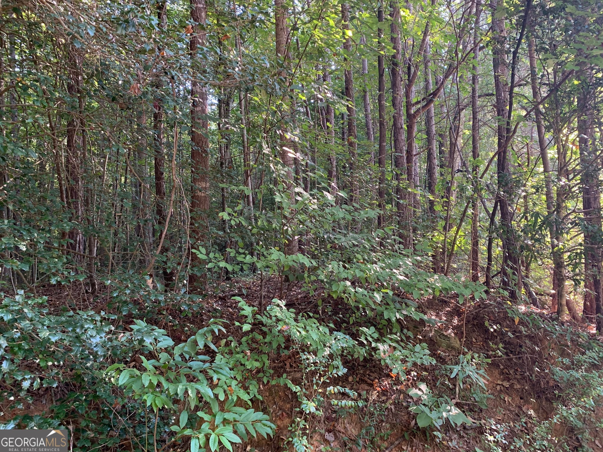 residential lot for sale at 5.10 ACRES Hwy 123, Toccoa, GA 30577 — photo 2