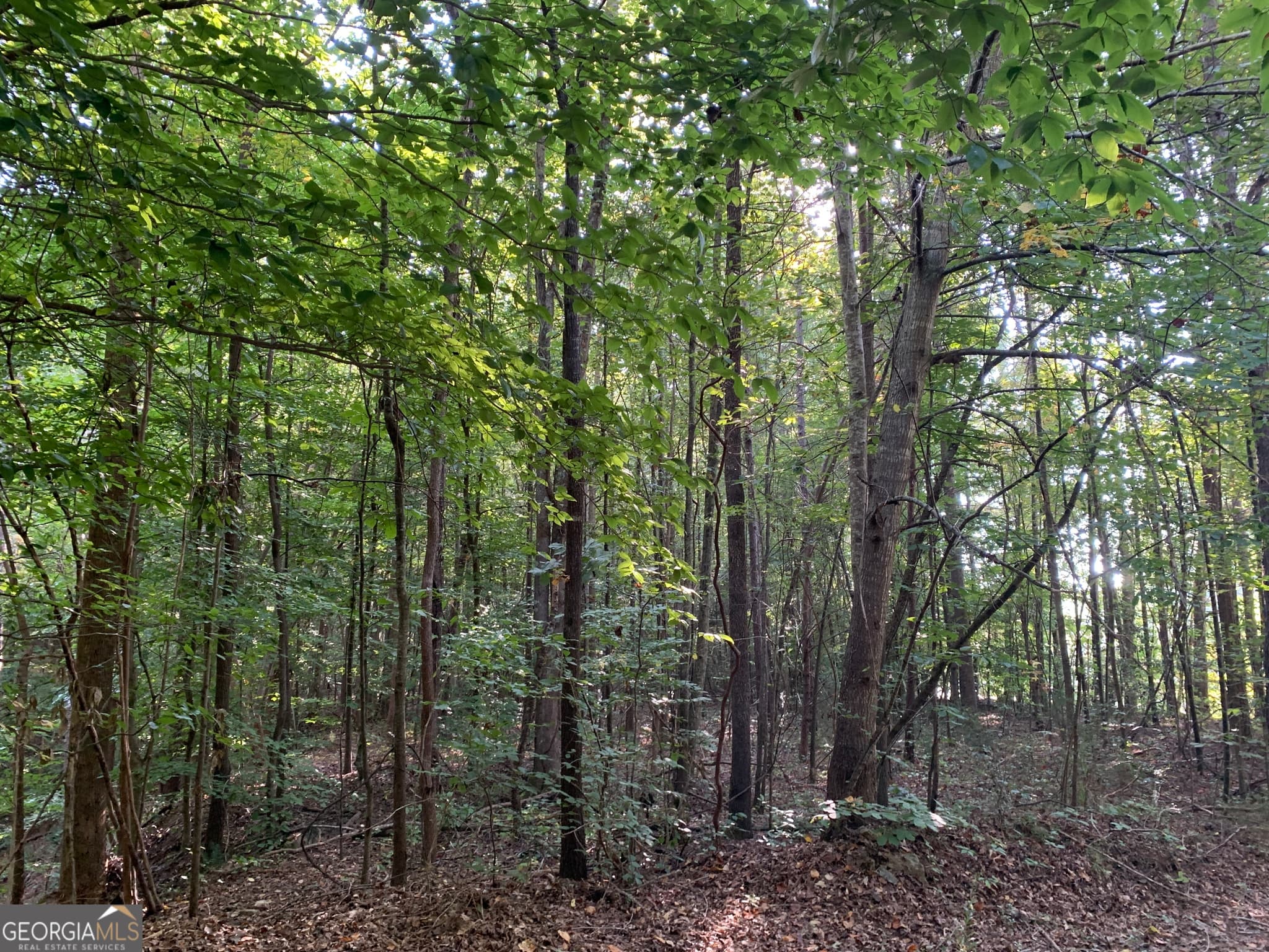 residential lot for sale at 5.10 ACRES Hwy 123, Toccoa, GA 30577 — photo 6