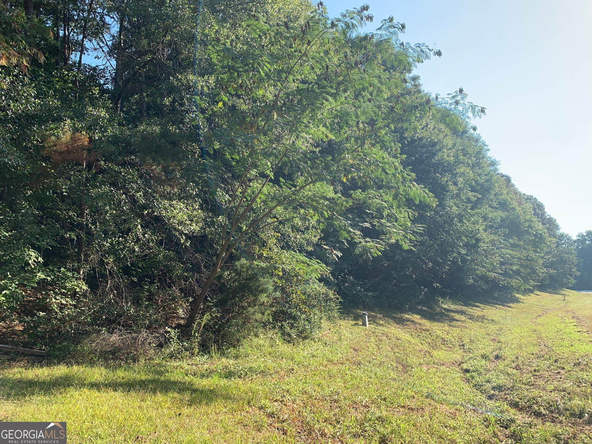 residential lot for sale at 5.10 ACRES Hwy 123, Toccoa, GA 30577 — photo 7