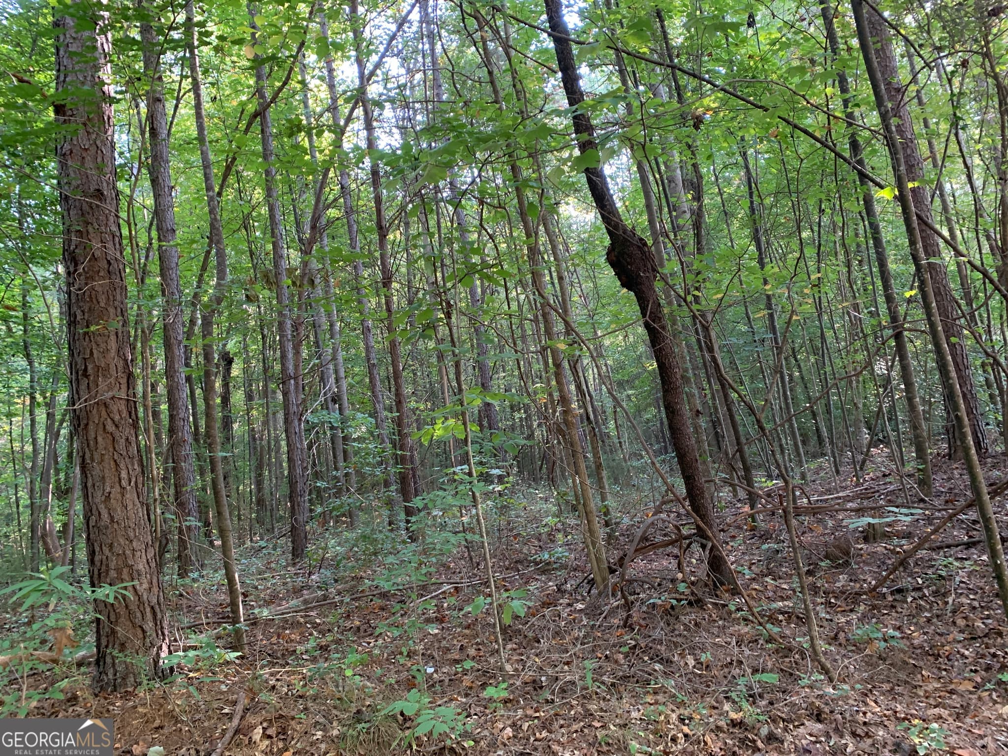 residential lot for sale at 5.10 ACRES Hwy 123, Toccoa, GA 30577 — photo 3