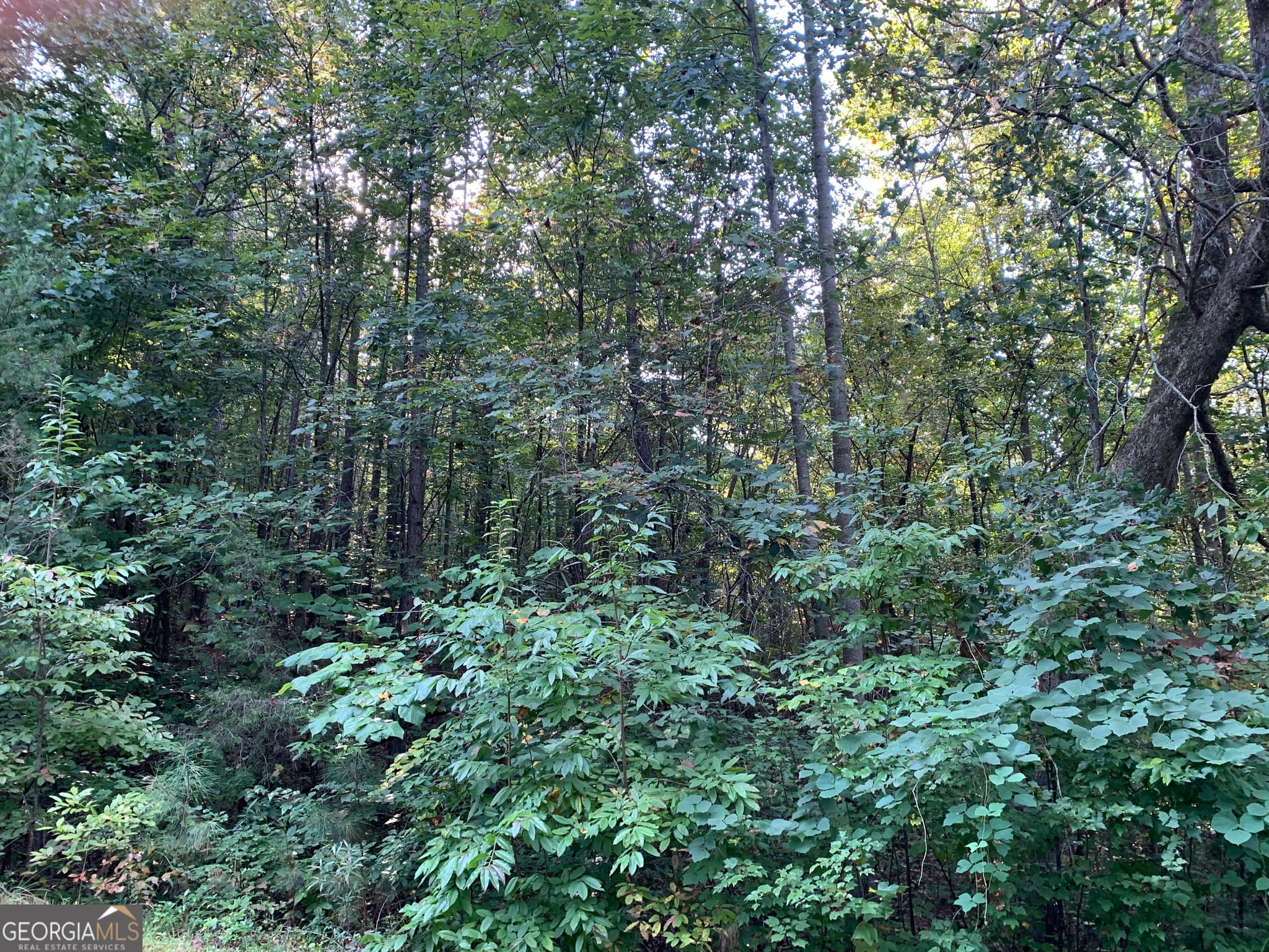 residential lot for sale at 5.10 ACRES Hwy 123, Toccoa, GA 30577 — photo 5