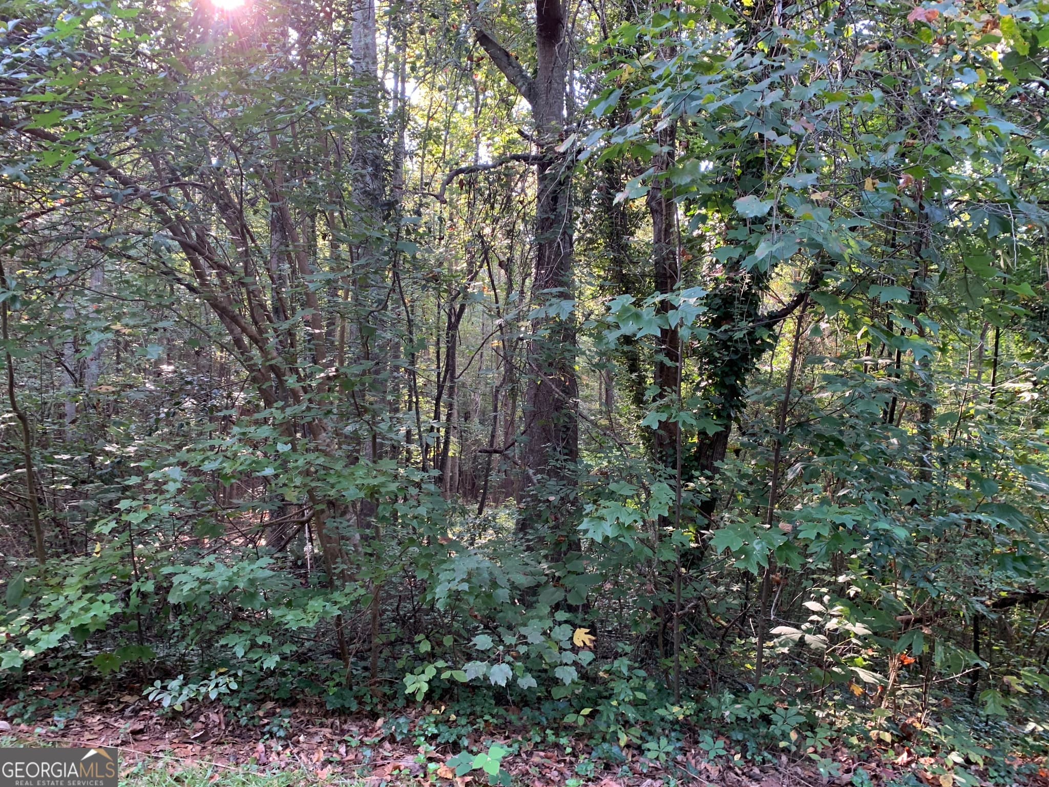 residential lot for sale at 5.10 ACRES Hwy 123, Toccoa, GA 30577 — photo 4