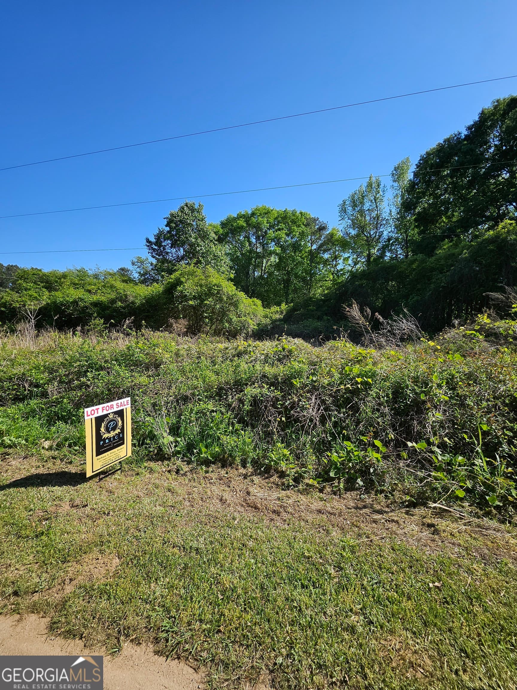 residential lot for sale at 0 Dixie West Highway, Rutledge, GA 30663 — photo 6