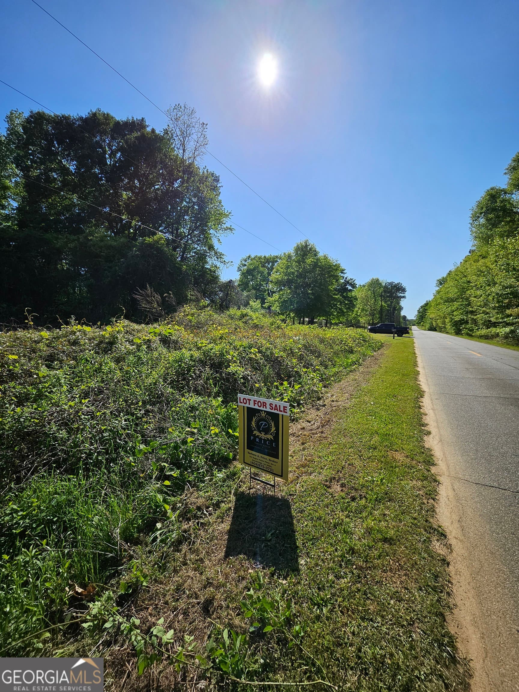 residential lot for sale at 0 Dixie West Highway, Rutledge, GA 30663 — photo 7