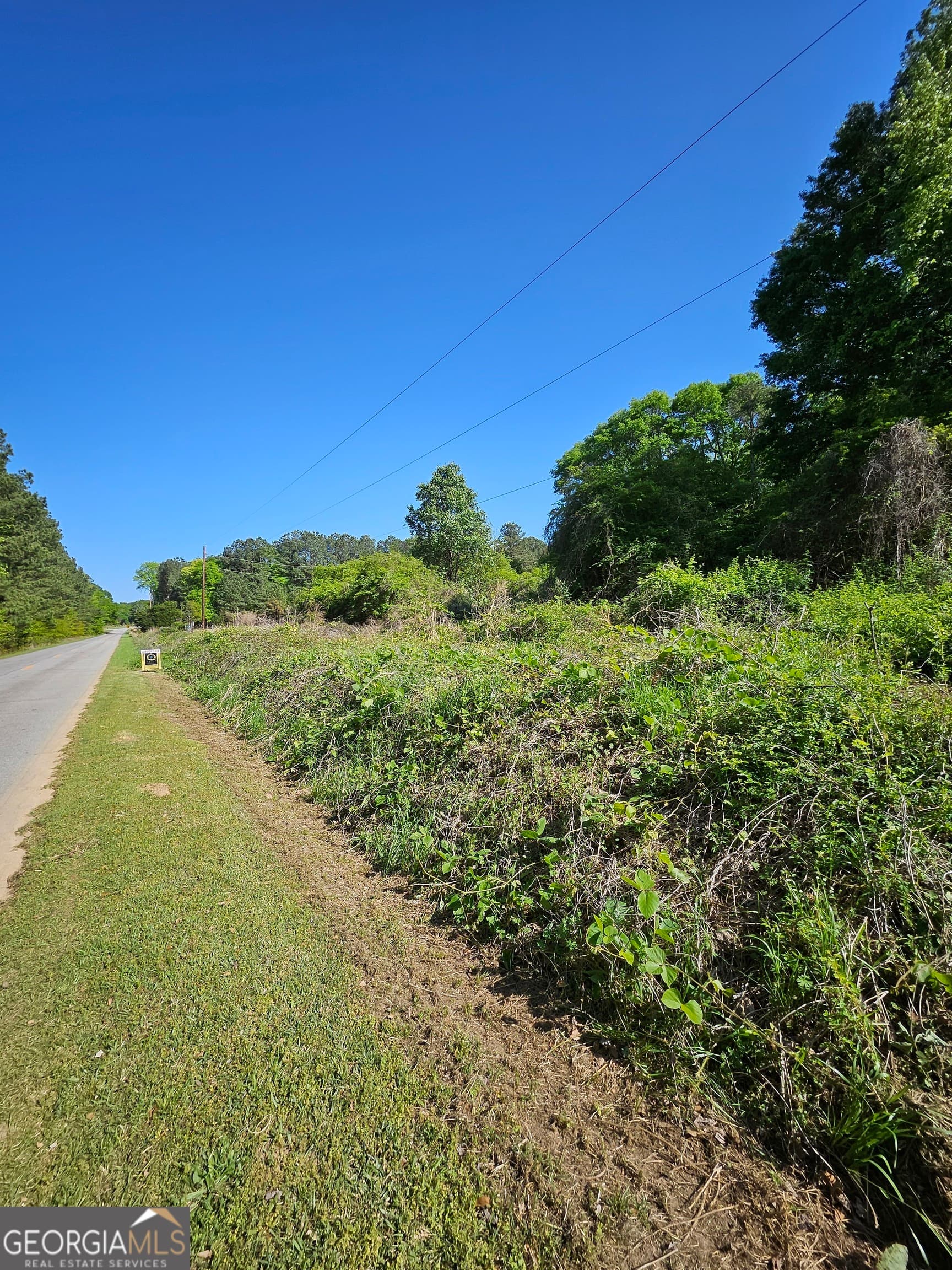 residential lot for sale at 0 Dixie West Highway, Rutledge, GA 30663 — photo 5