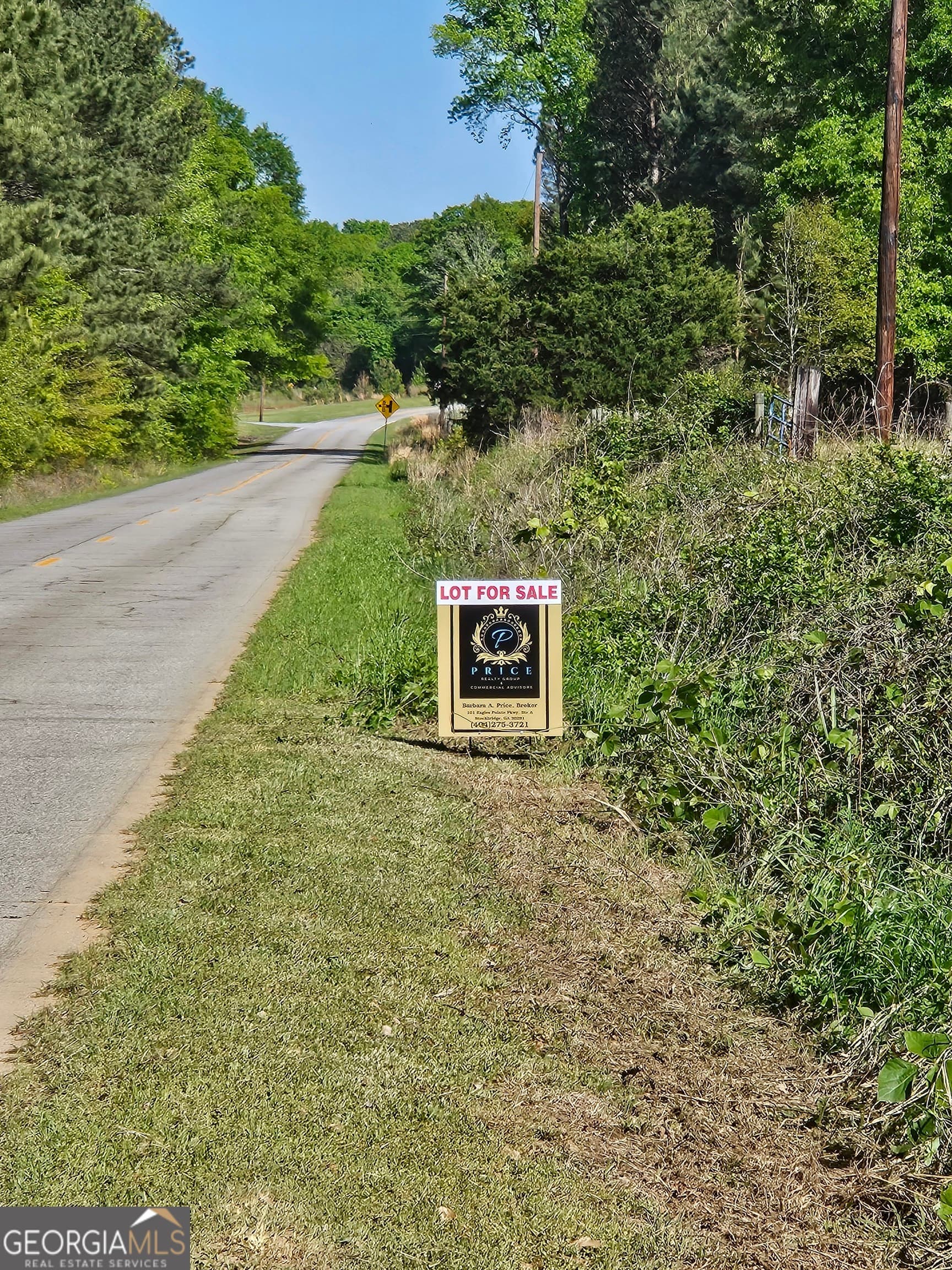 residential lot for sale at 0 Dixie West Highway, Rutledge, GA 30663 — photo 4