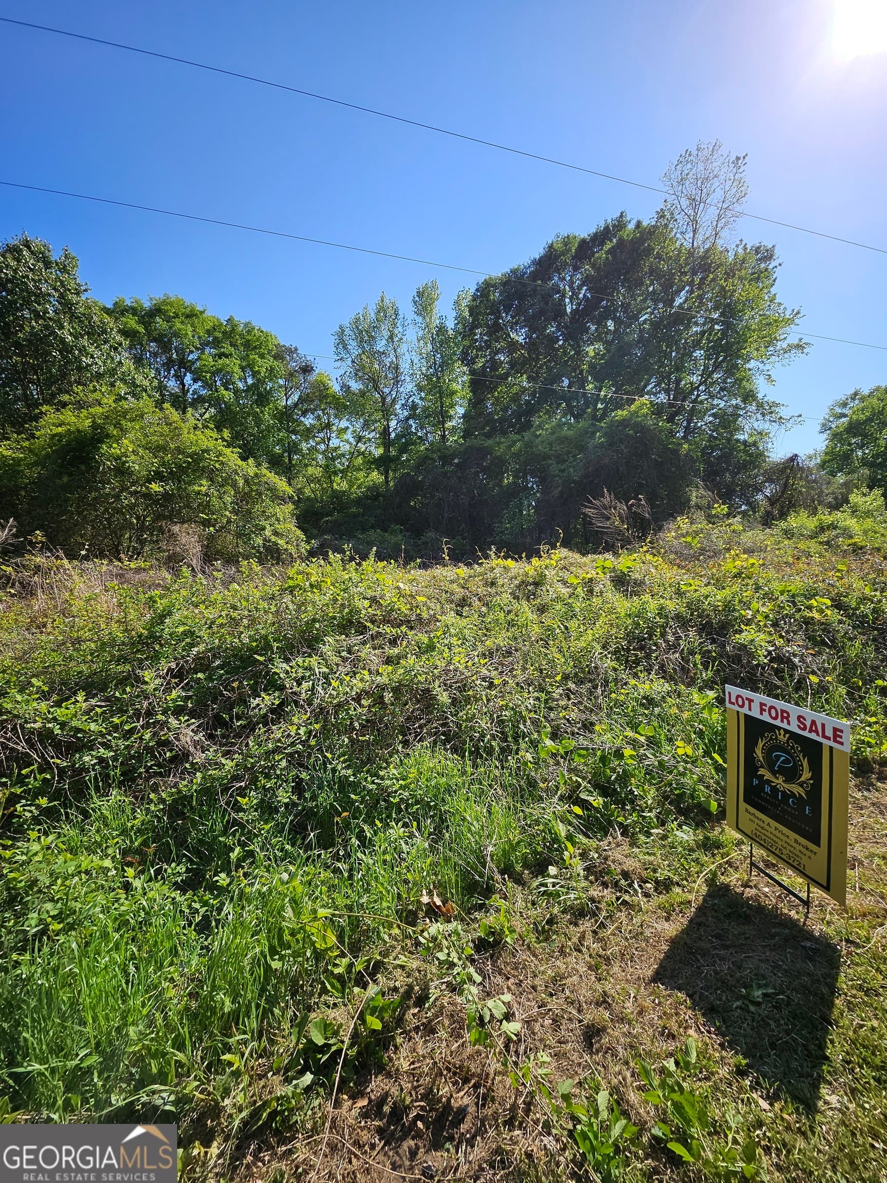 residential lot for sale at 0 Dixie West Highway, Rutledge, GA 30663 — photo 8
