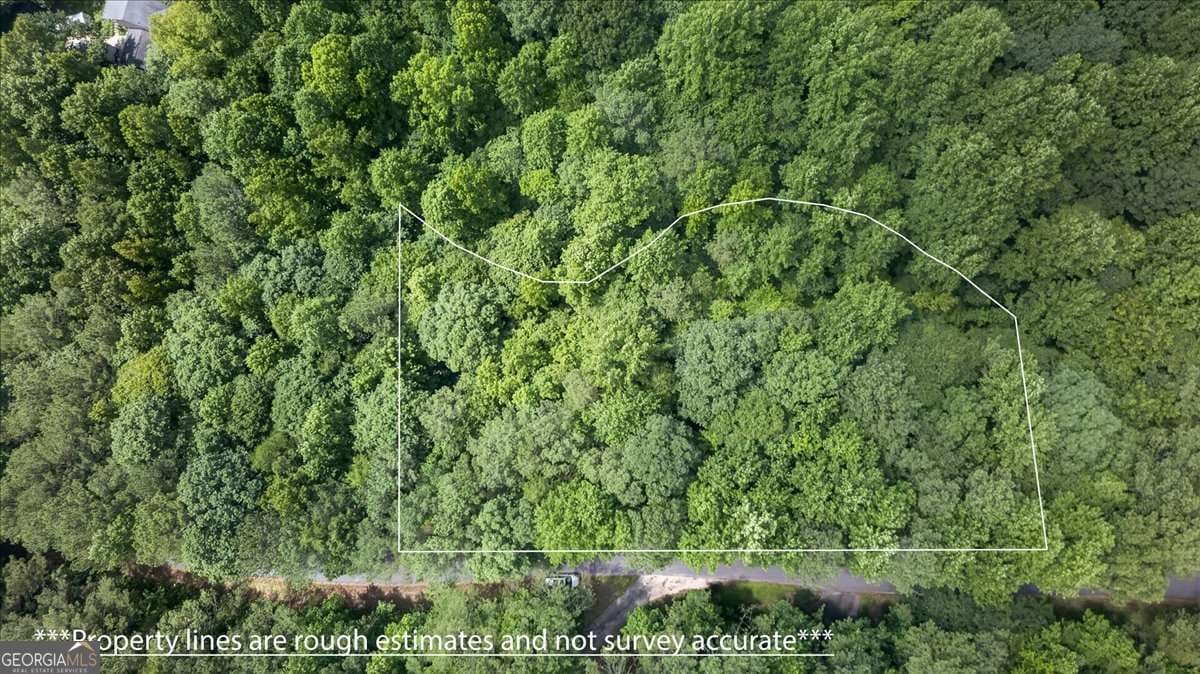 residential lot for sale at 0 Ginger Drive, Jasper, GA 30143 — photo 2