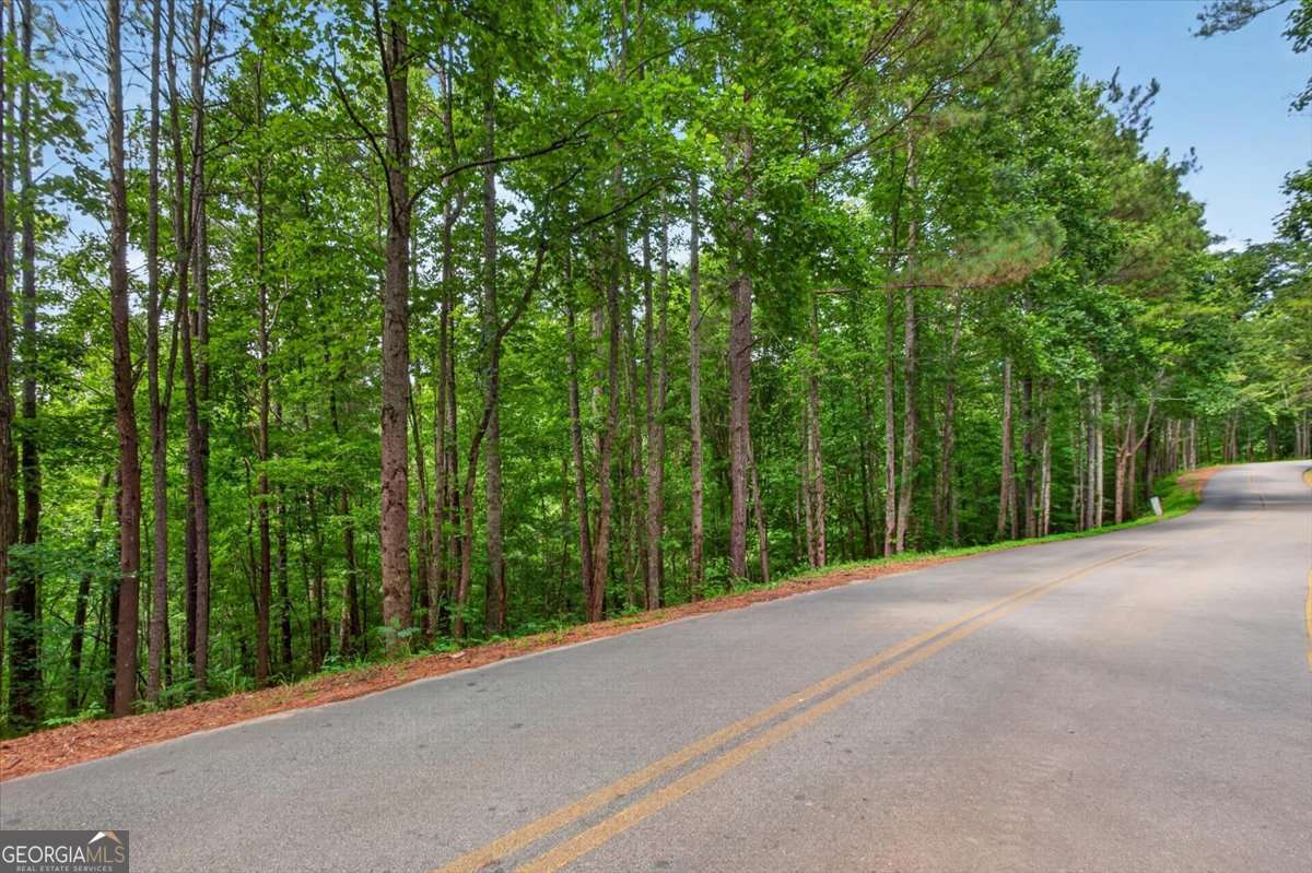 residential lot for sale at 0 Ginger Drive, Jasper, GA 30143 — photo 6
