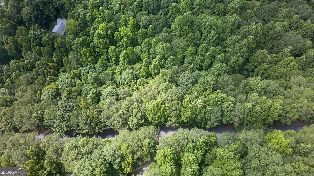 residential lot for sale at 0 Ginger Drive, Jasper, GA 30143 — photo 7