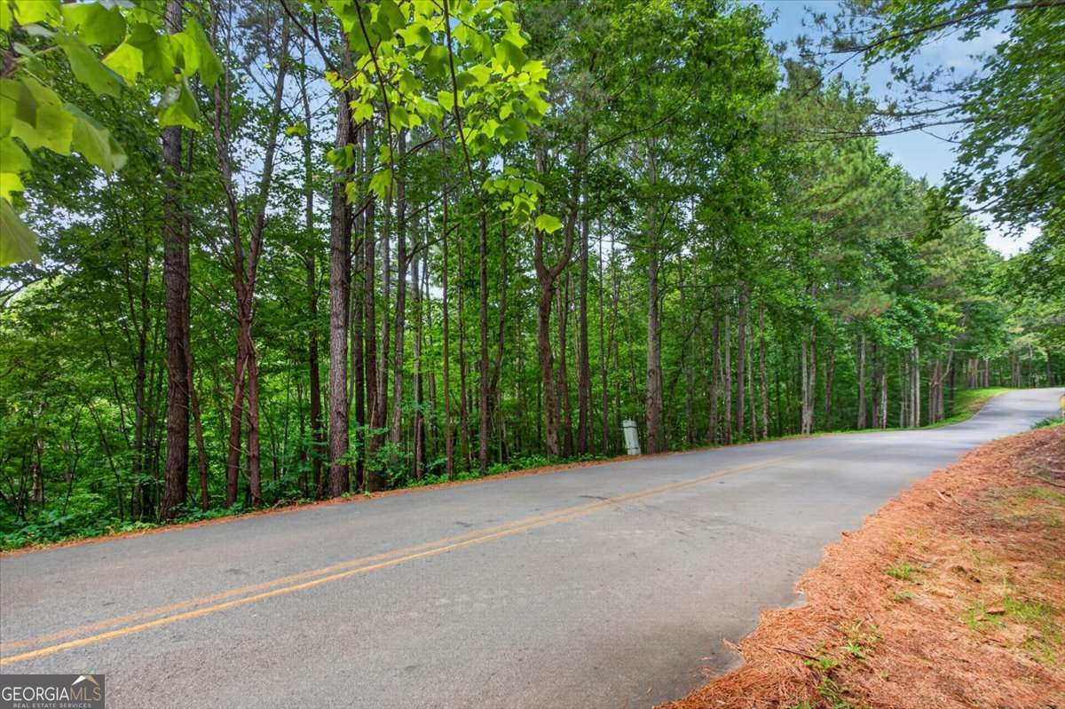 residential lot for sale at 0 Ginger Drive, Jasper, GA 30143 — photo 5